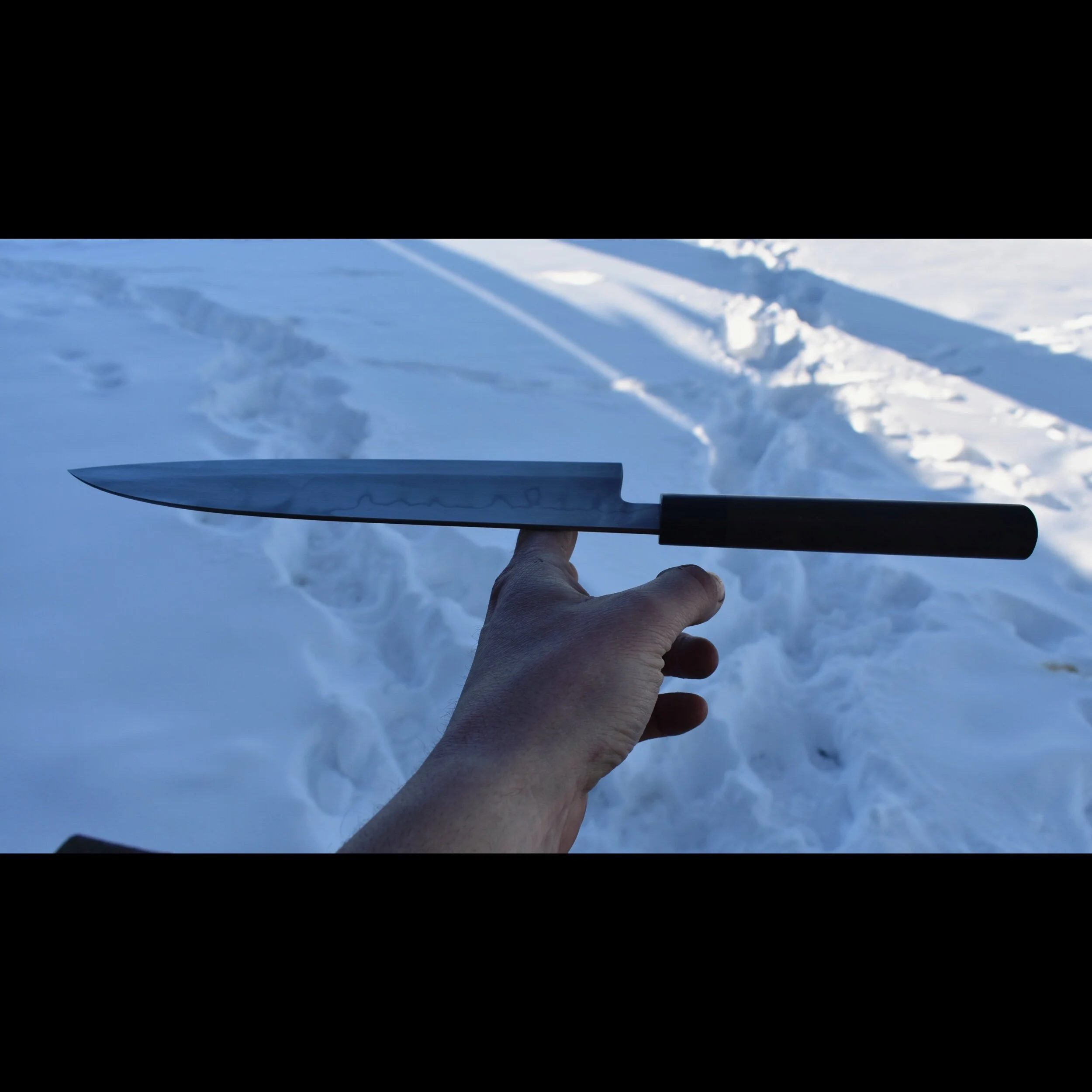 213A8180-7734-499A-BEA8-14146A8CA91F