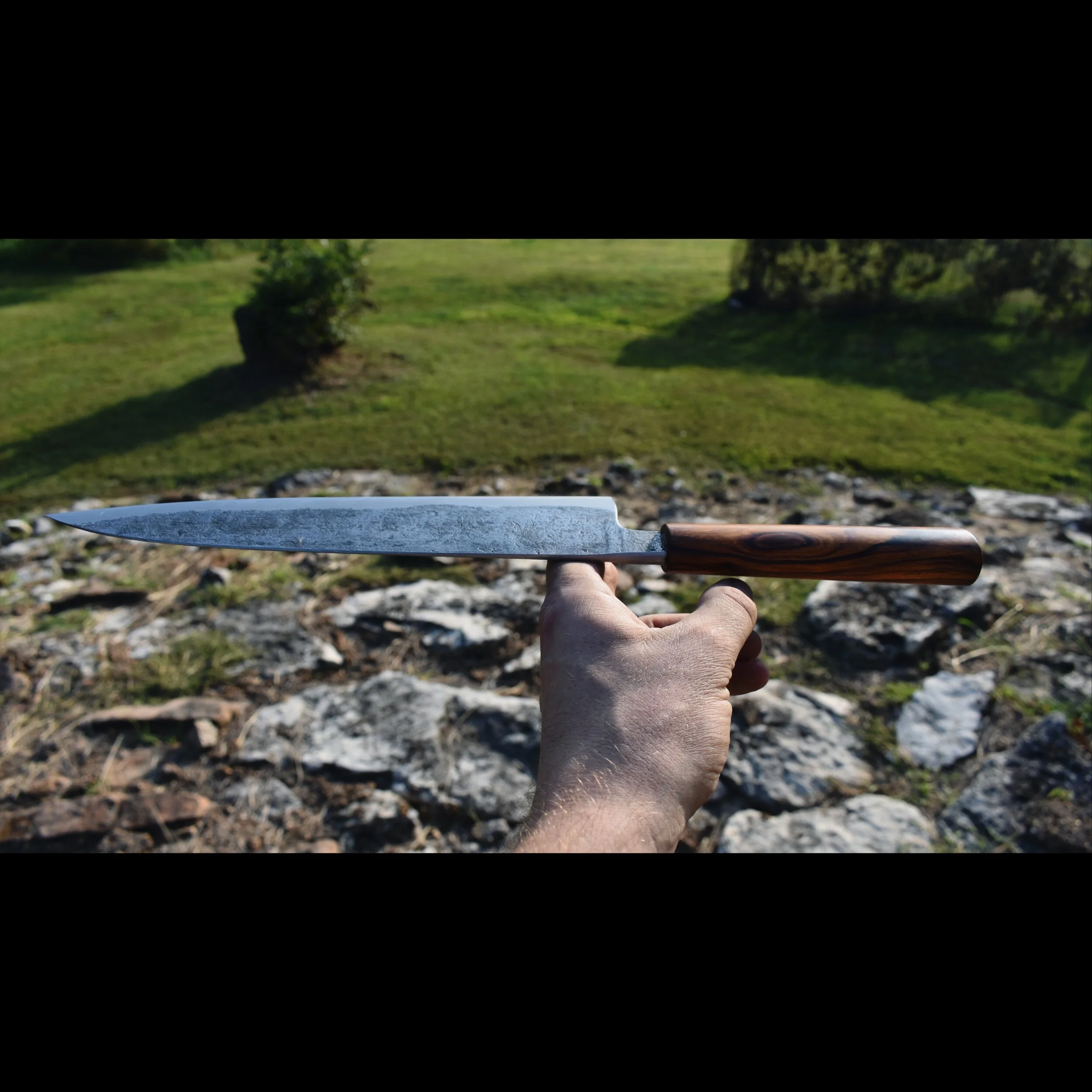 3E0823E8-F50F-4451-939B-A4504D2688E4