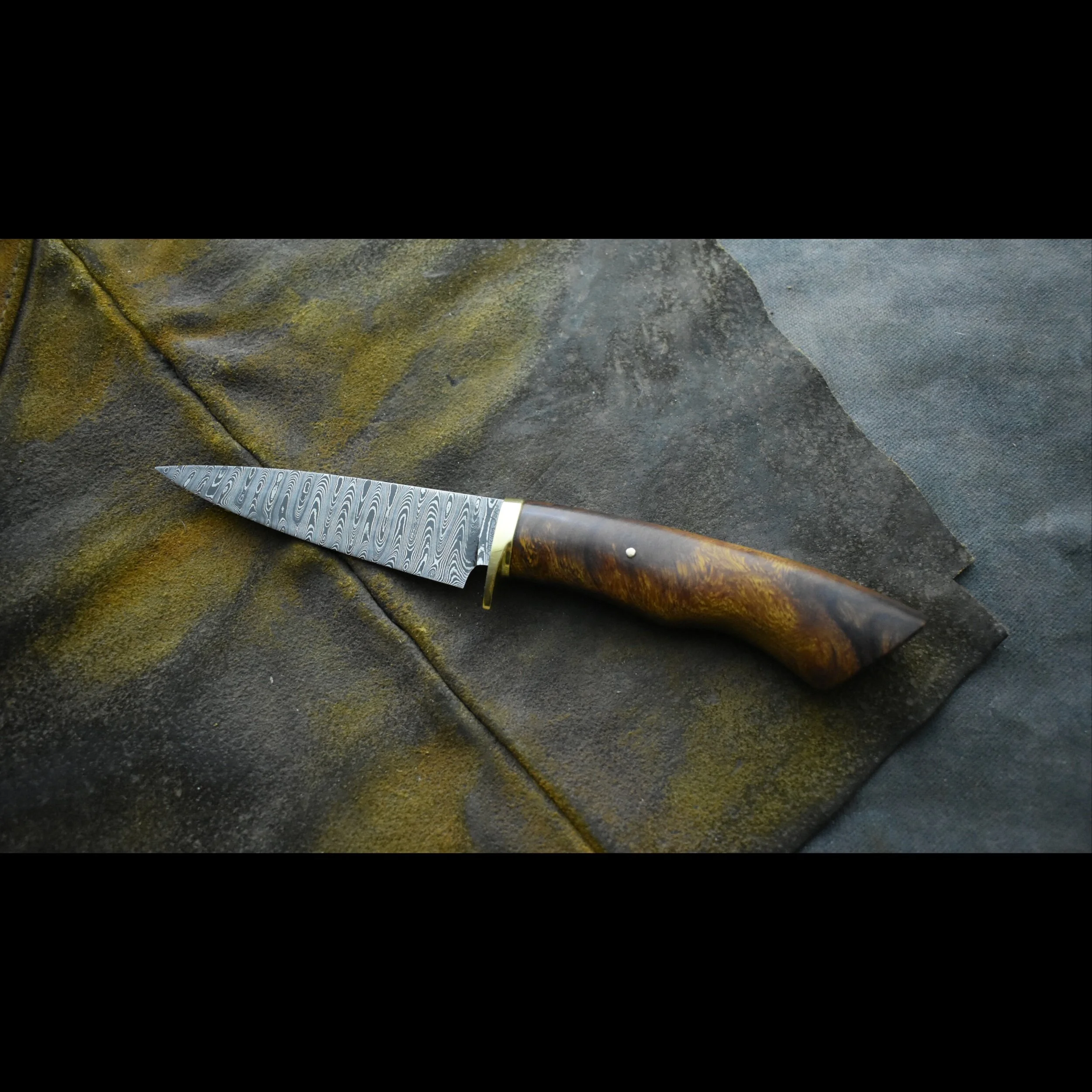 762262F2-601A-4A58-83AF-62824E33C71D