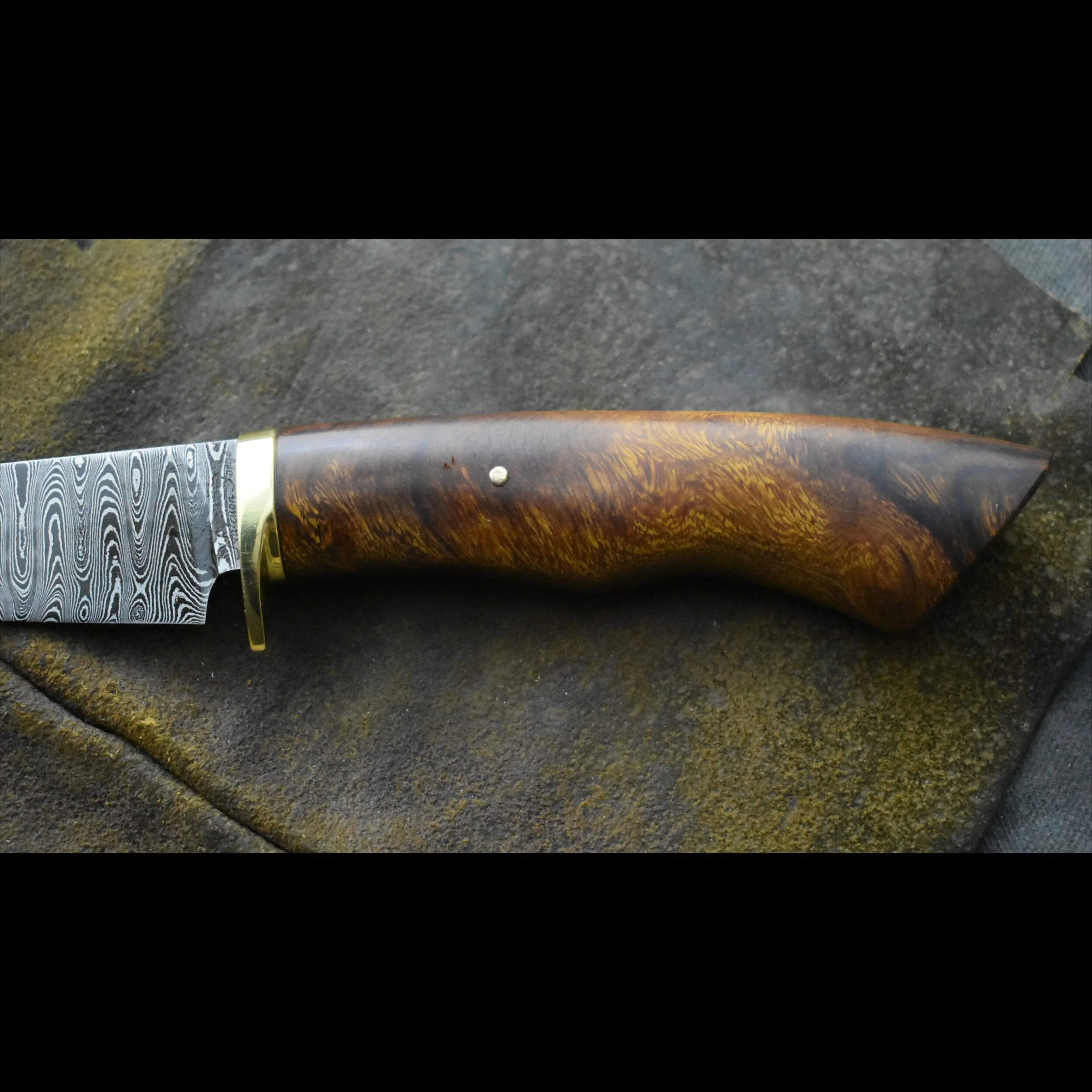 F183C7A9-EAE5-4270-B216-73661E86D6F0