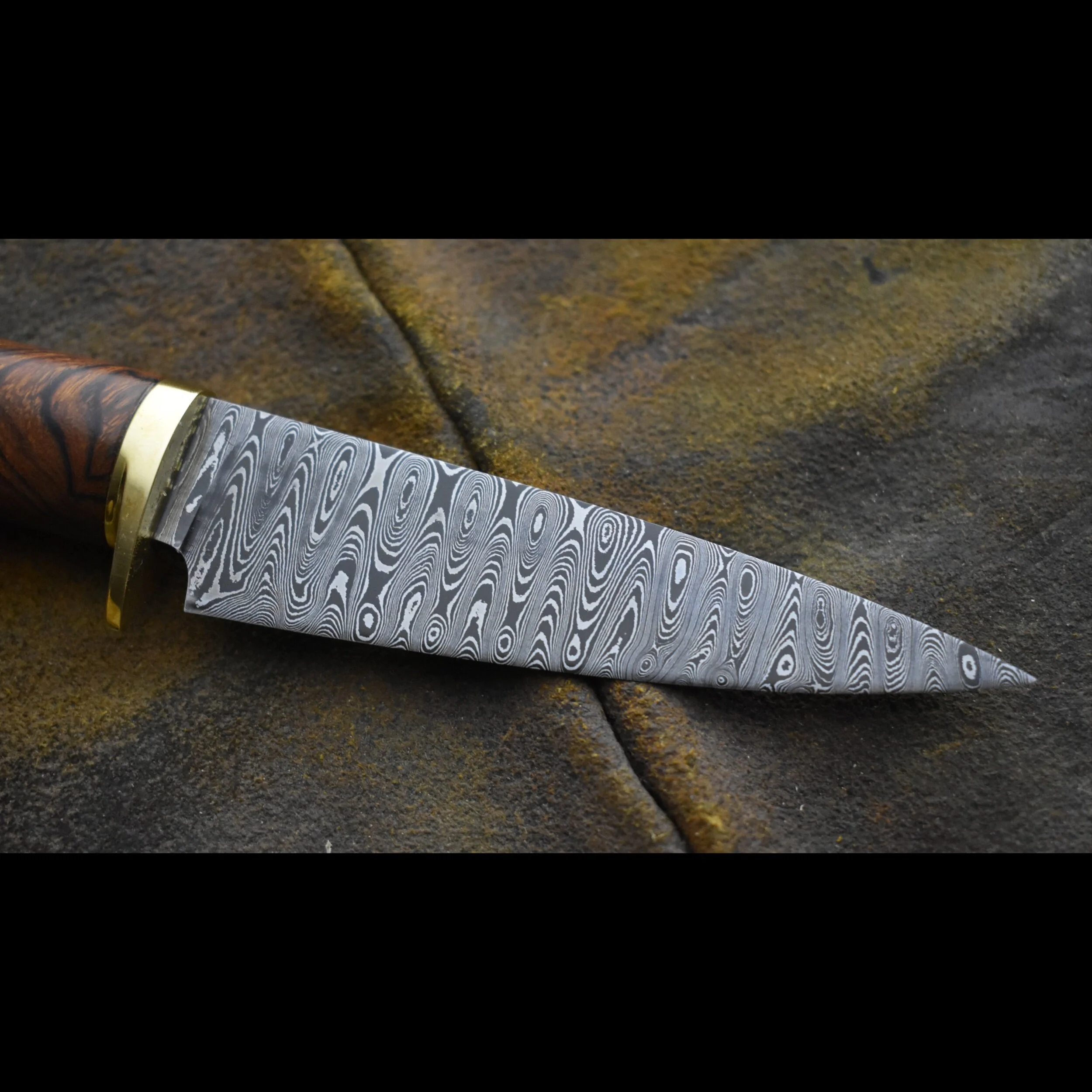 2E2D65E4-8524-440D-8C41-B573C26C1522