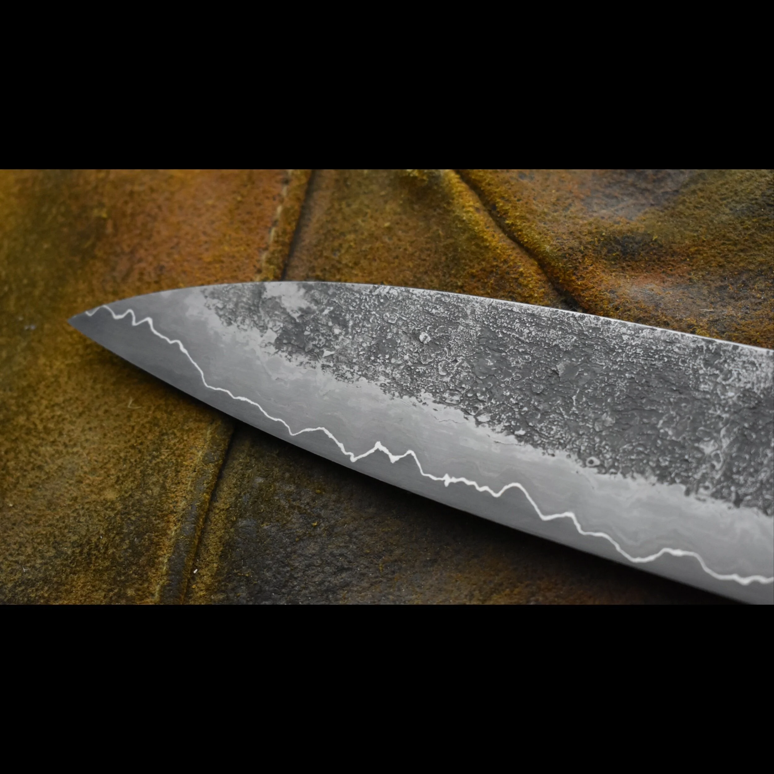 E2FEDCCD-C0D2-465C-82DB-241D22DA1BBF