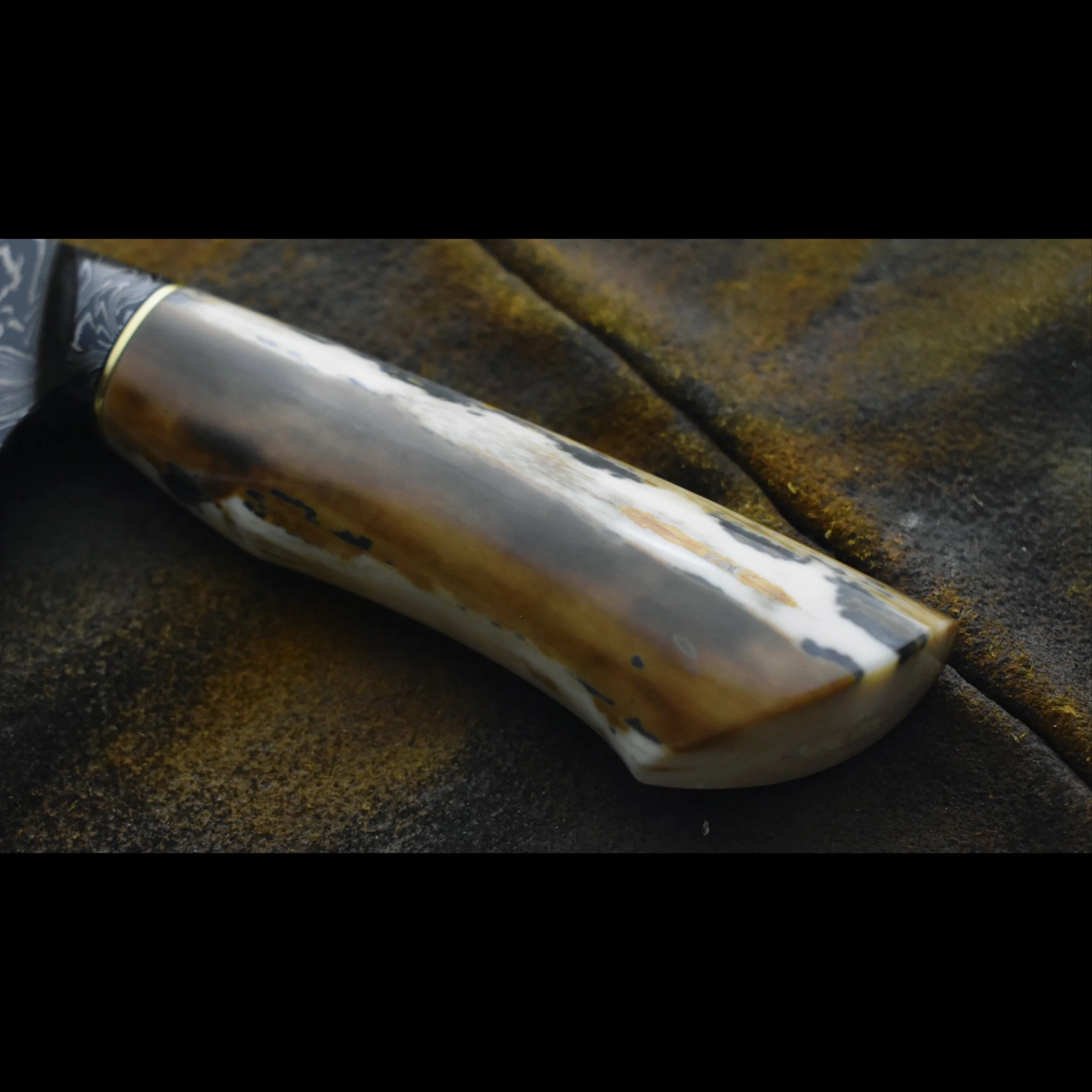 C0829BA7-F62A-4B0D-8CBD-6BF44291DF5F