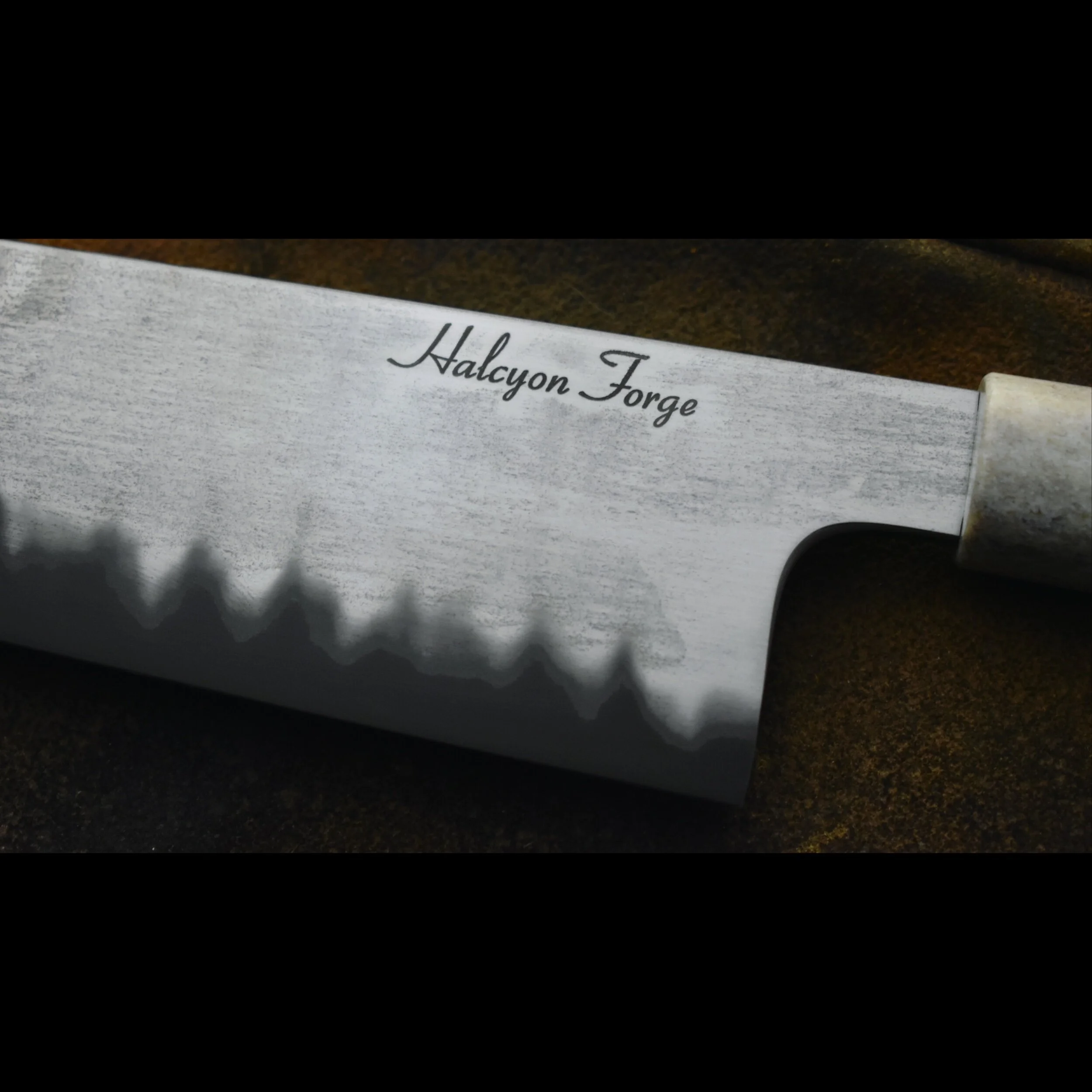 C55956FE-75B2-4418-B70D-71CE53C1971E