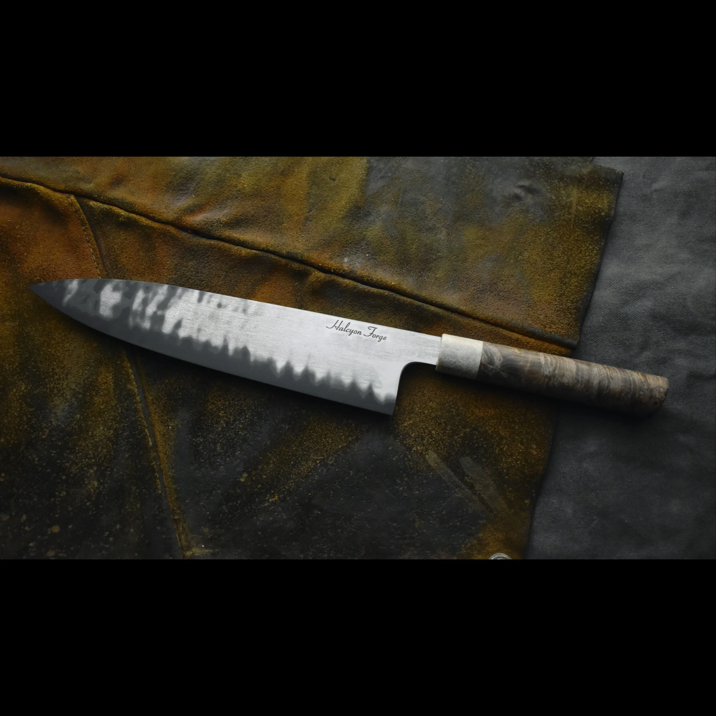 40FFF4E2-5514-406A-A8EF-6A3669B4CD5B