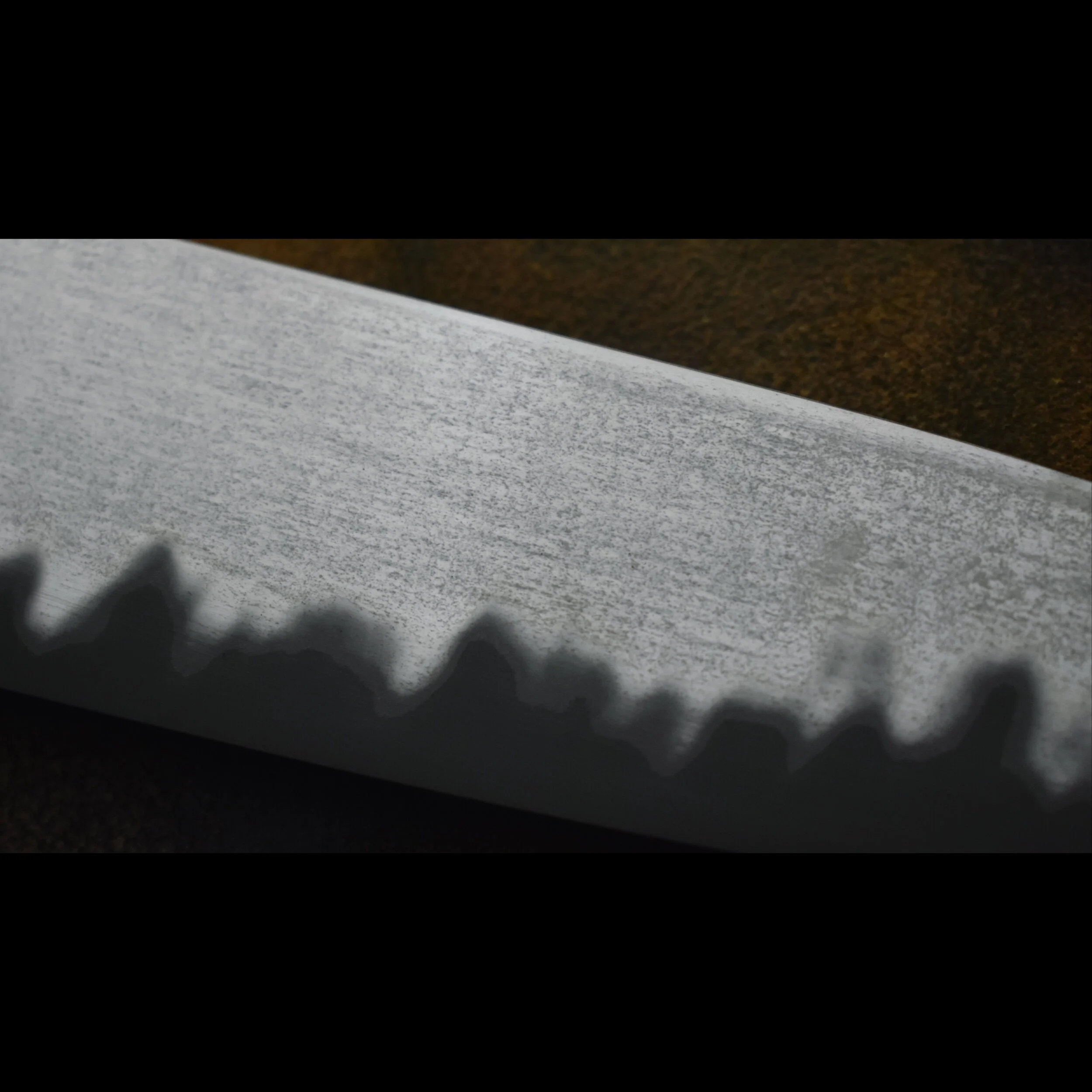 B5592DA5-4439-4B46-987E-E0E7132DBA24