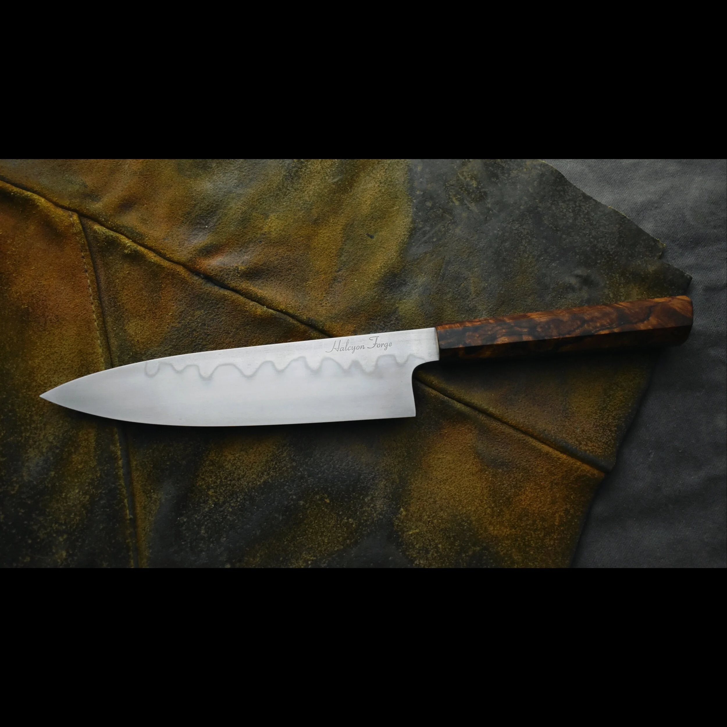 035EA24D-EA56-402F-AE8E-D75D4257A684