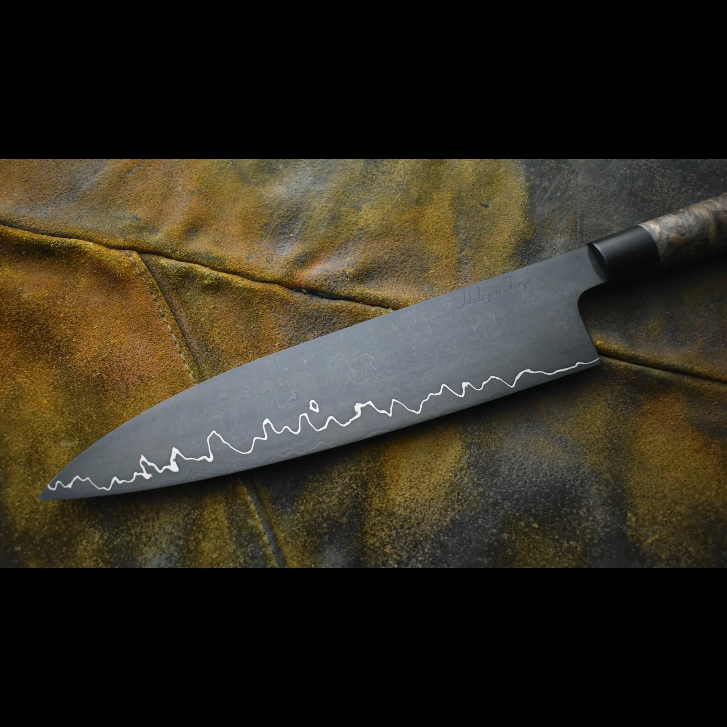 1304B288-98ED-43EE-AF21-D4E21257D361