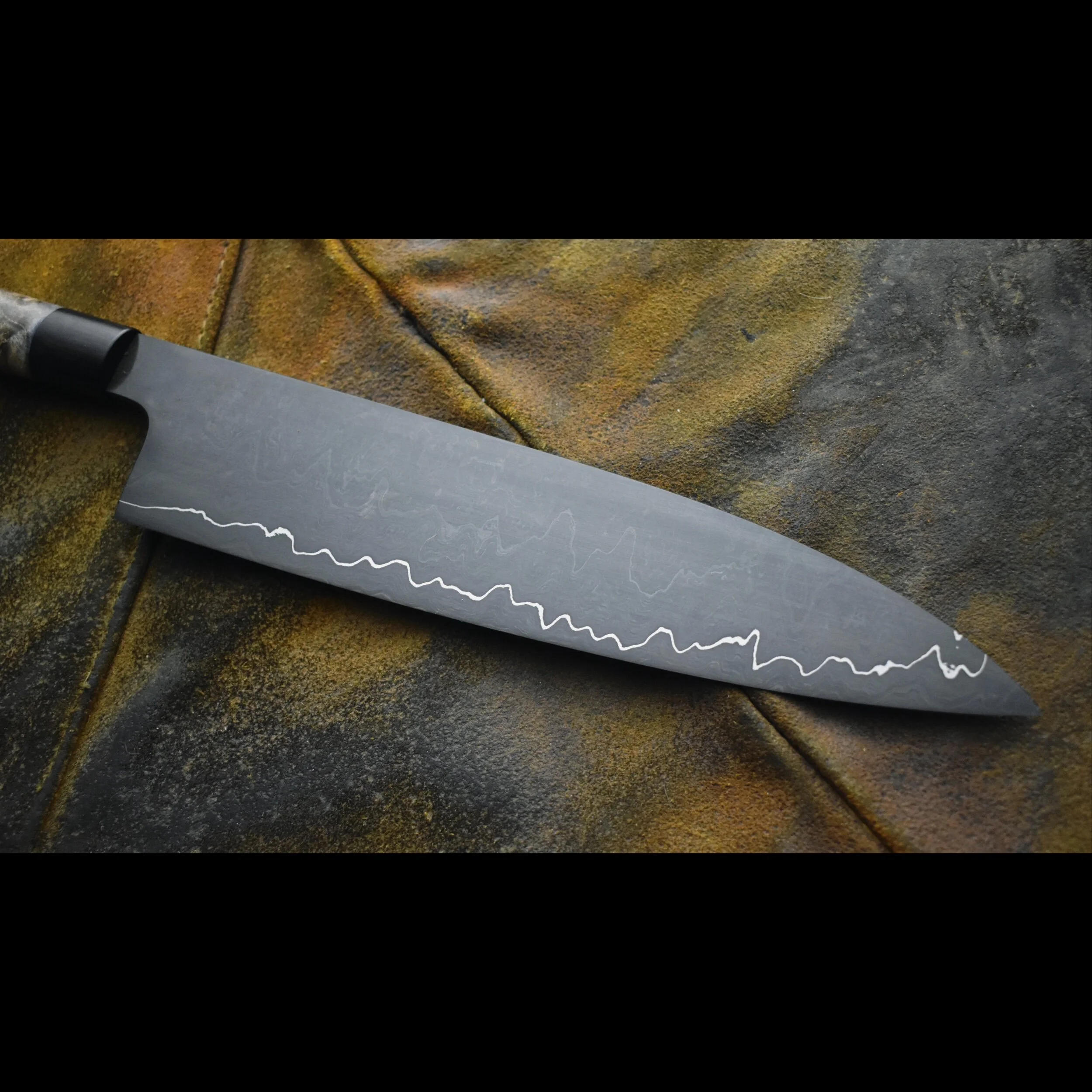 81DE261A-40E8-45F4-9181-AB69F1F76B38