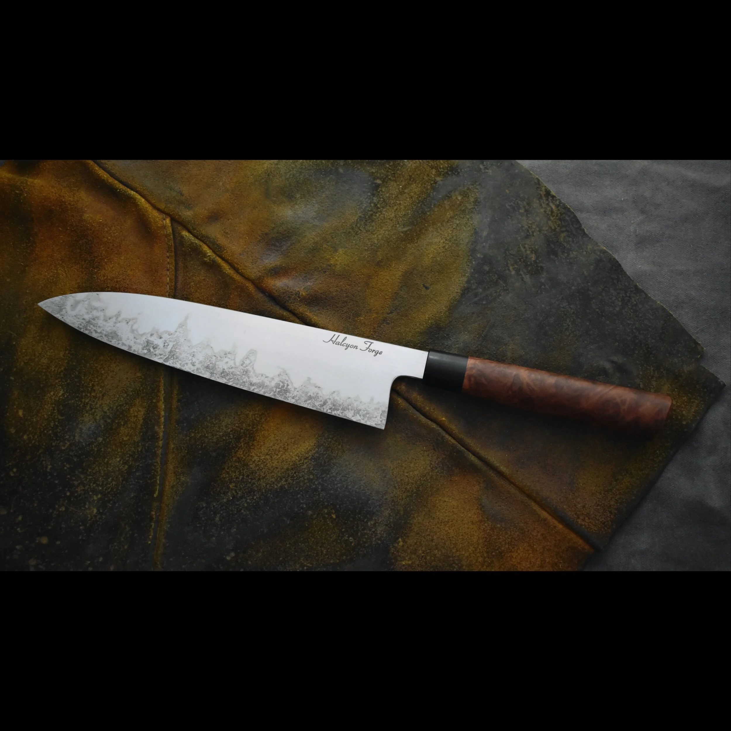 83E6751E-7945-42A8-A511-778A7E06272A