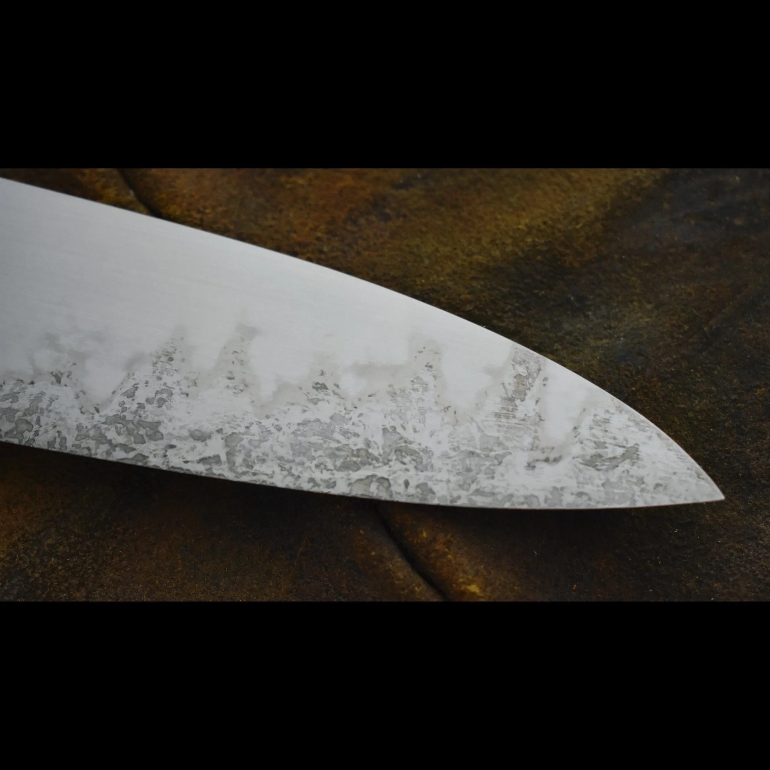 C8A1F94D-69BA-47ED-A587-75C14CA591B5