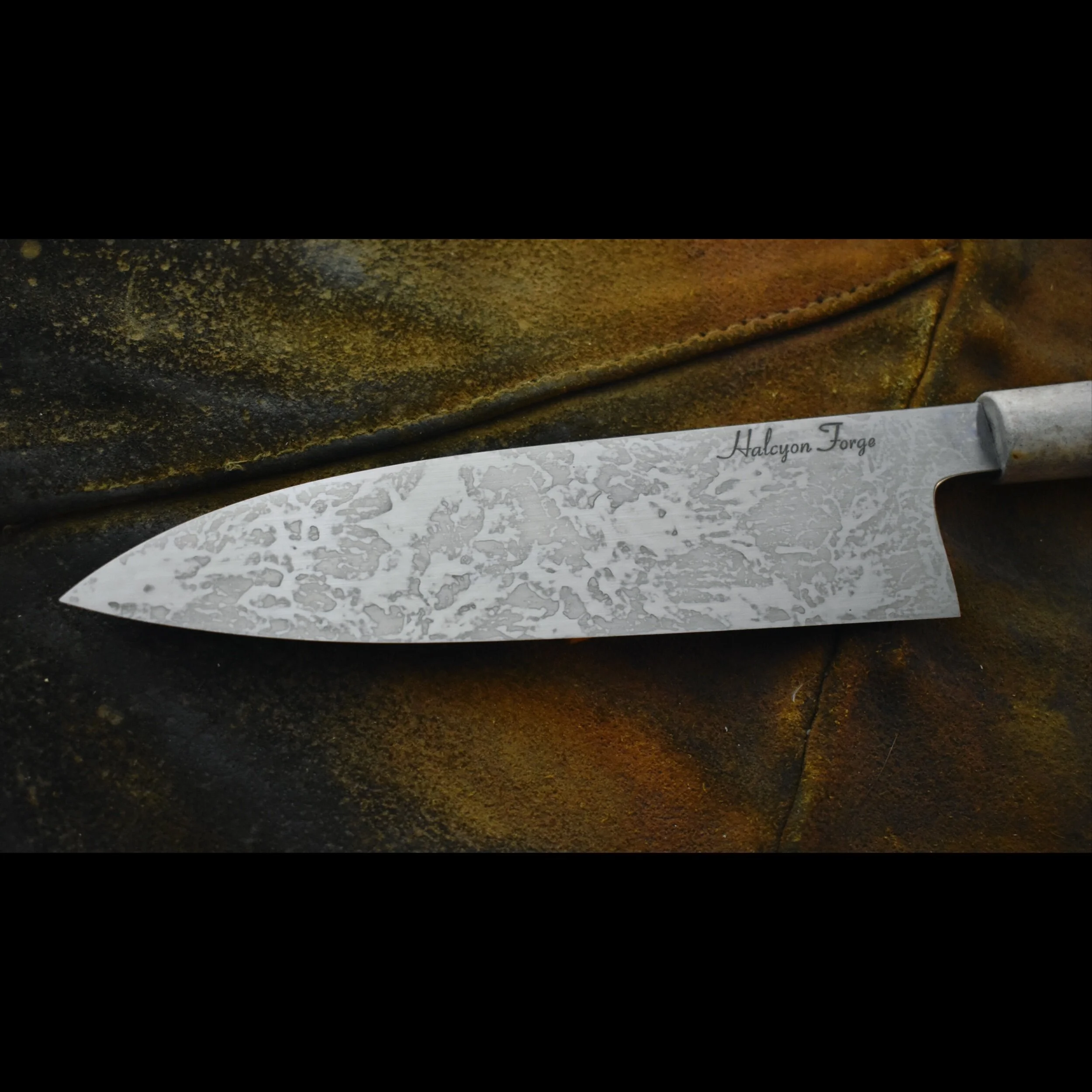 8ED616AE-7389-4023-AC18-93C601A5E13F