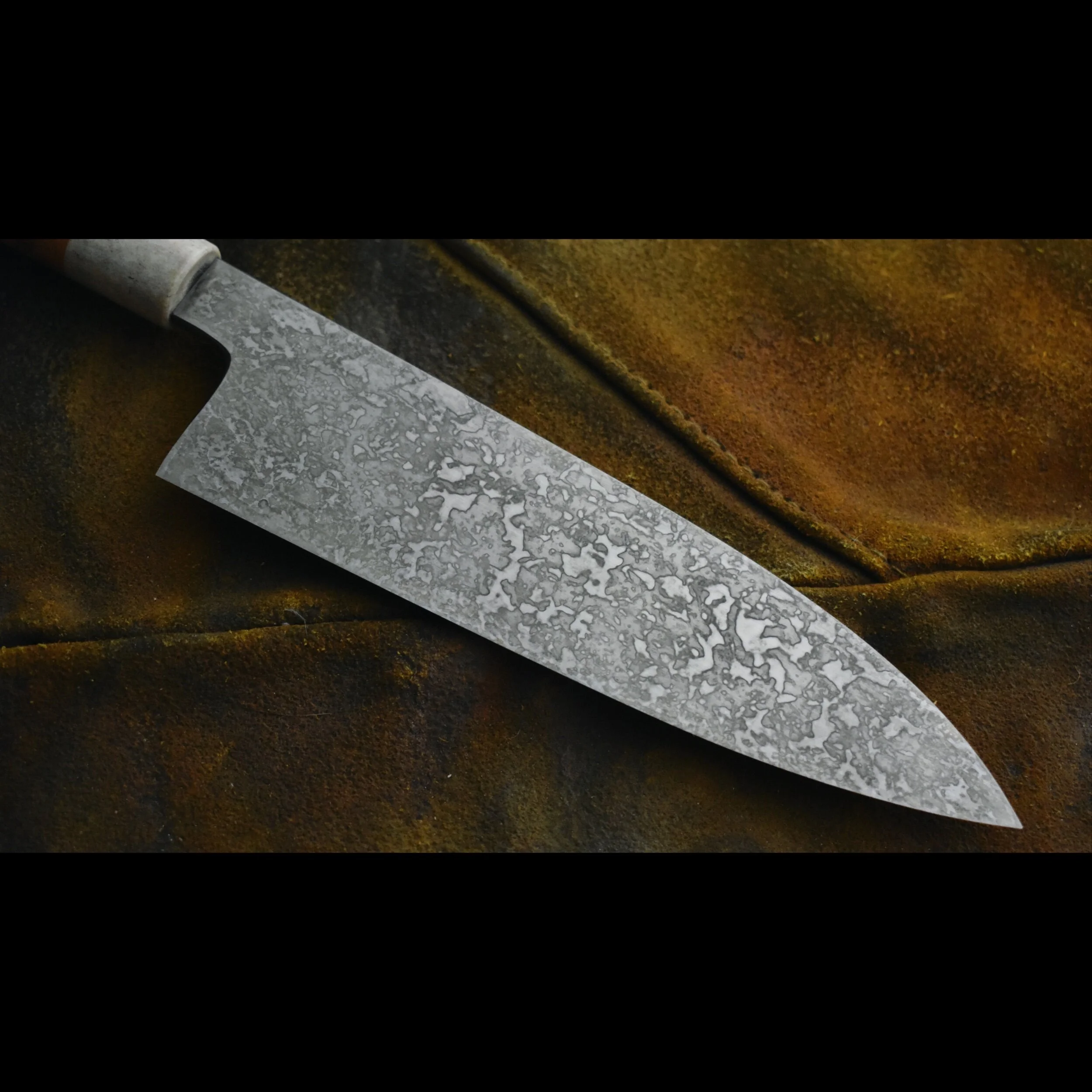 16B64EE8-55AE-44CF-B0A5-435CC4D13B55