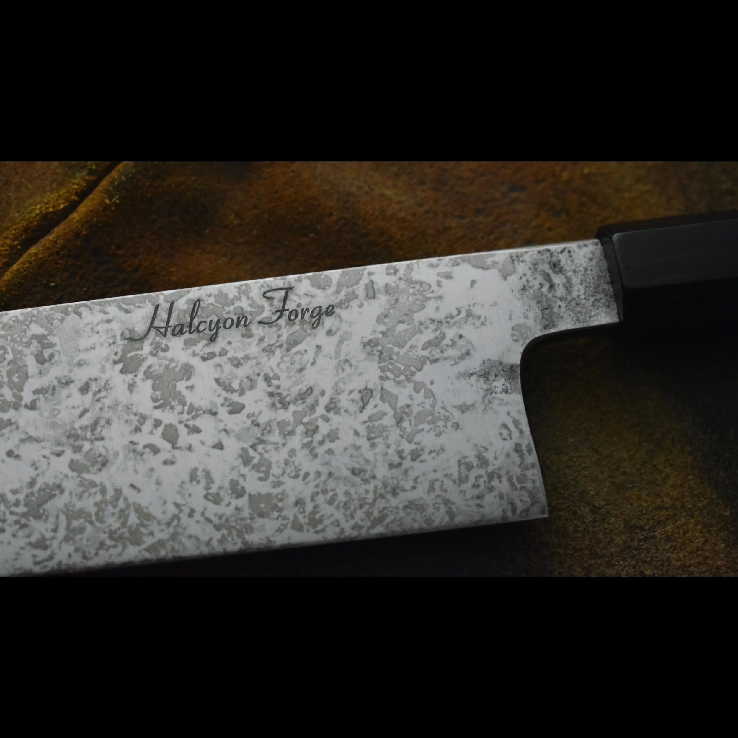 046B208B-95DB-4482-B54C-6F60BC43E82F