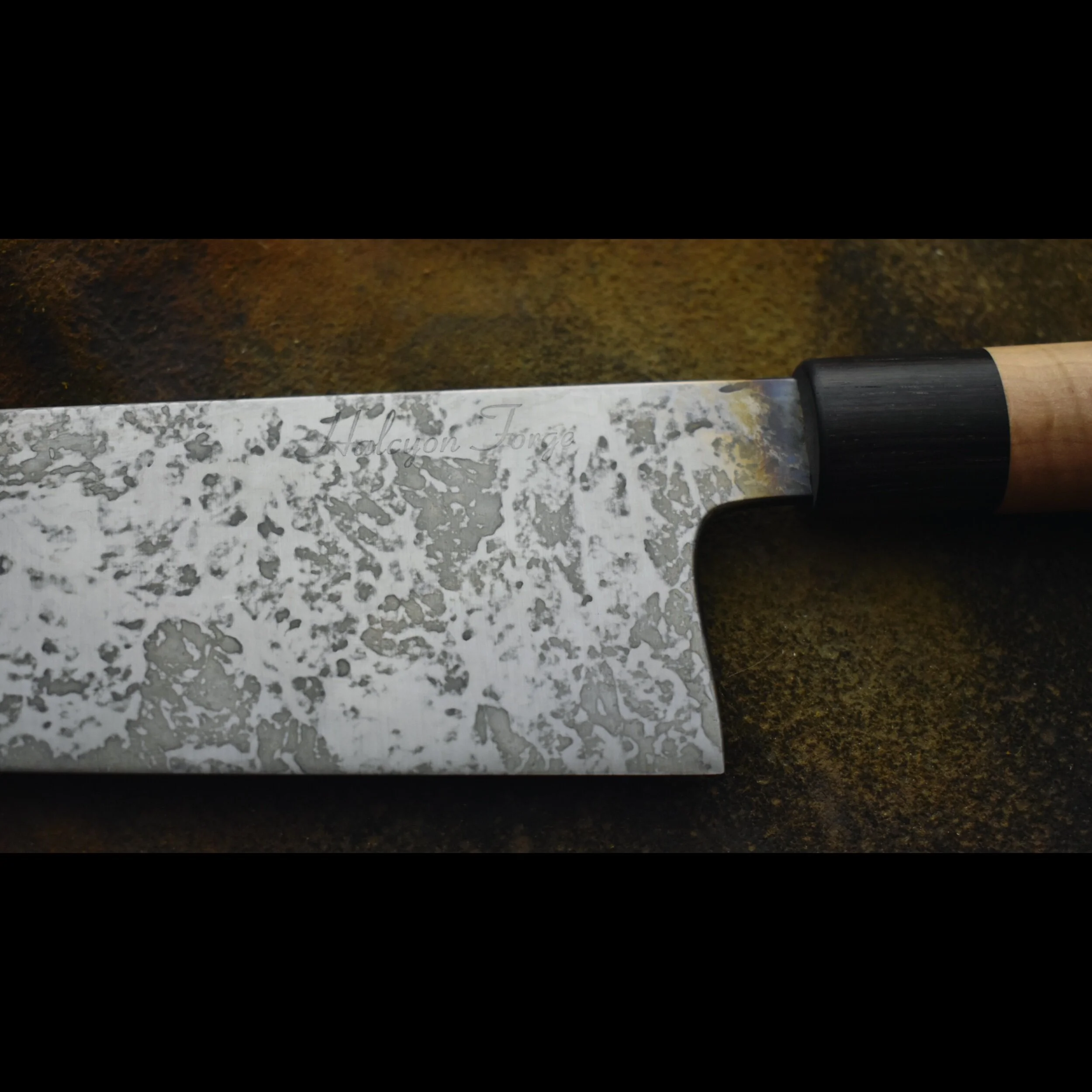 0C392DE5-F343-48D5-B194-71C39018988B