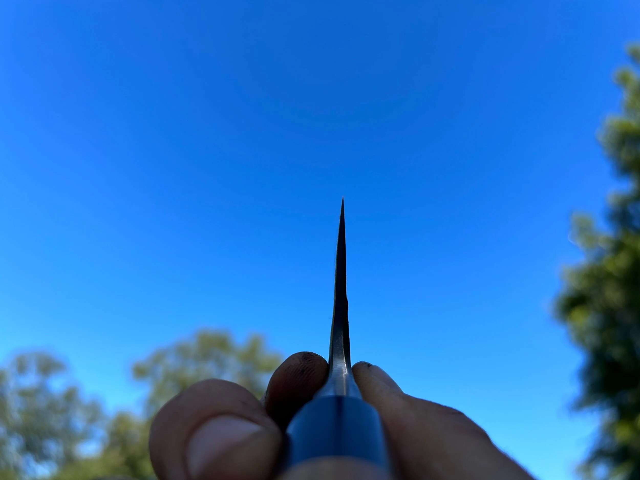 6AF85E6E-541D-4AA0-90DC-418DC939528D