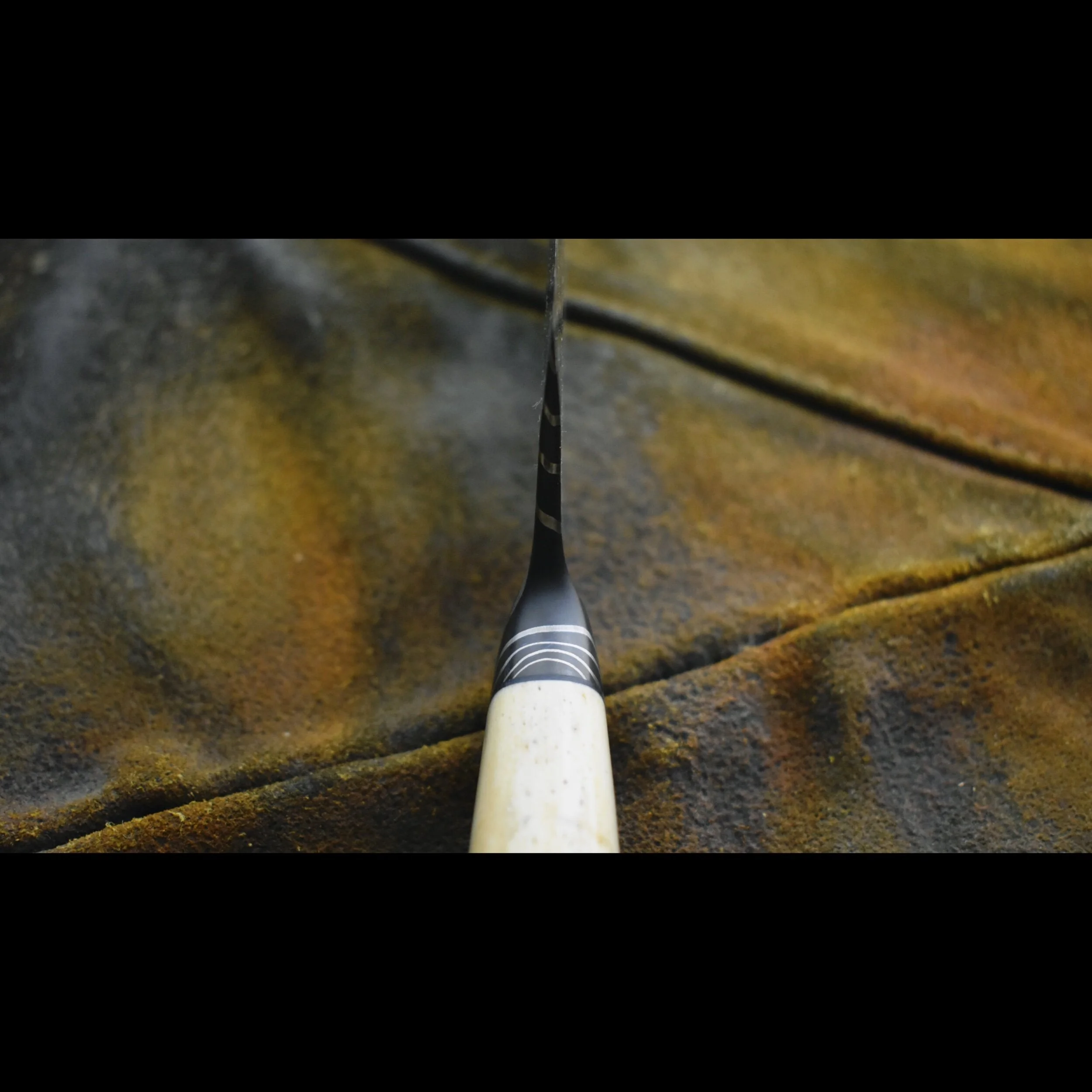 91A11259-12EC-4558-8B64-BE0E4D9A9A46