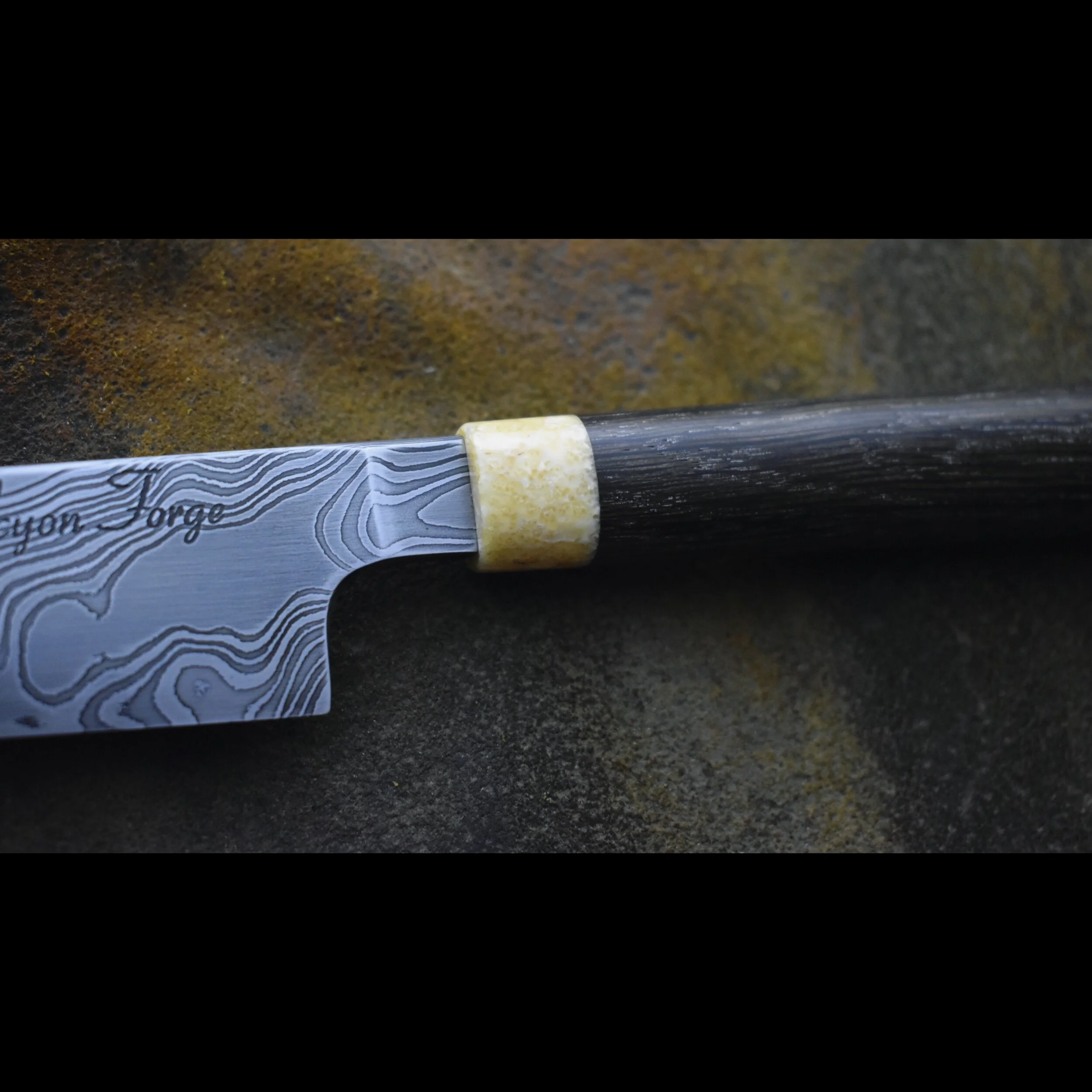 F7B77857-D317-446D-8DBC-4E99E6F124D6