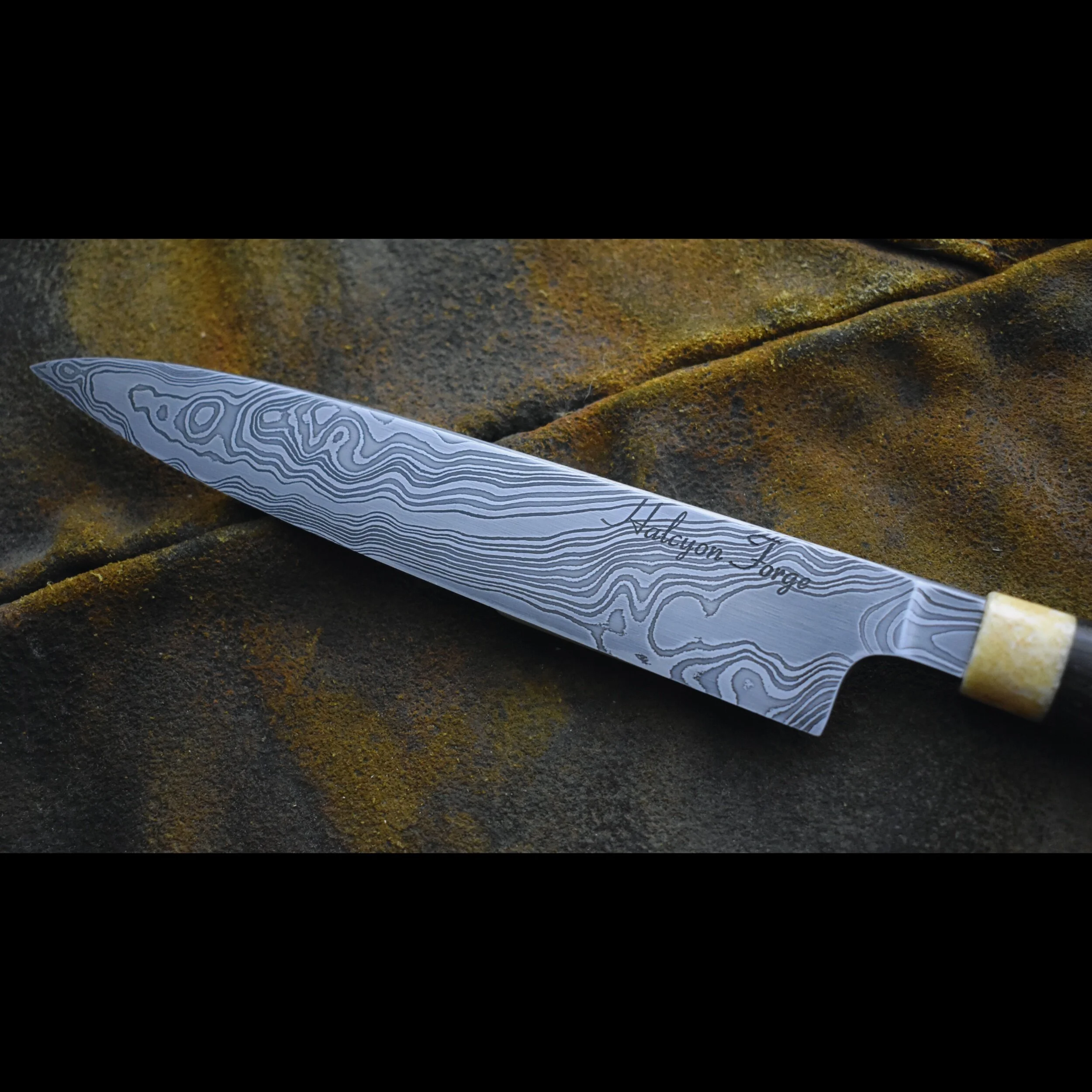 791C799E-5069-491F-98BA-44F6EED63AB2