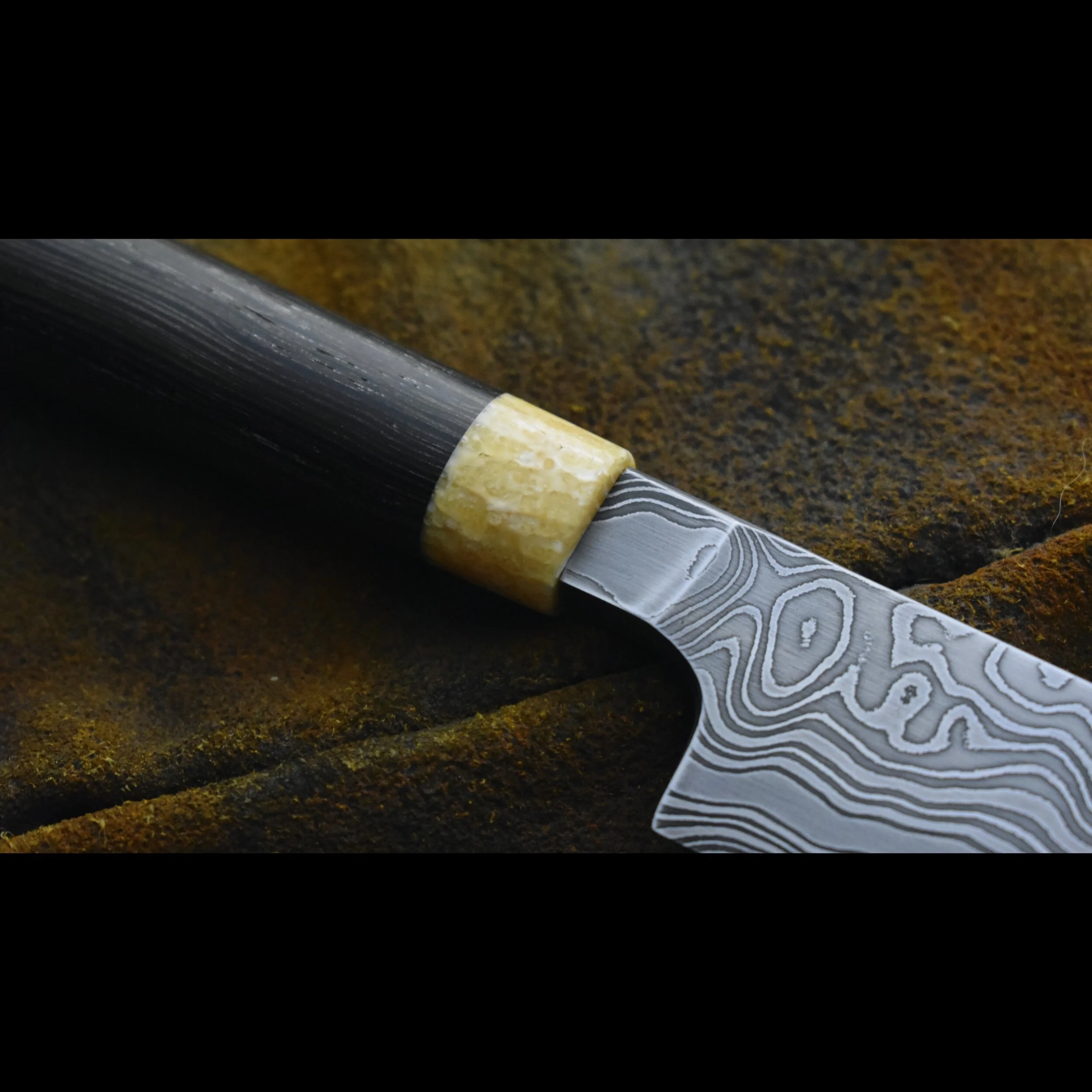 6EFD2392-A890-403E-A4BA-52280164EA7C