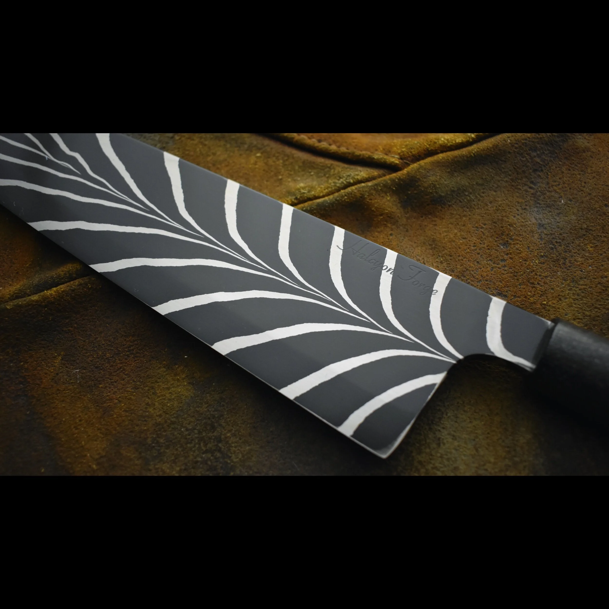 E2A9CDDF-5E36-4A95-8237-04FDEB6B7319