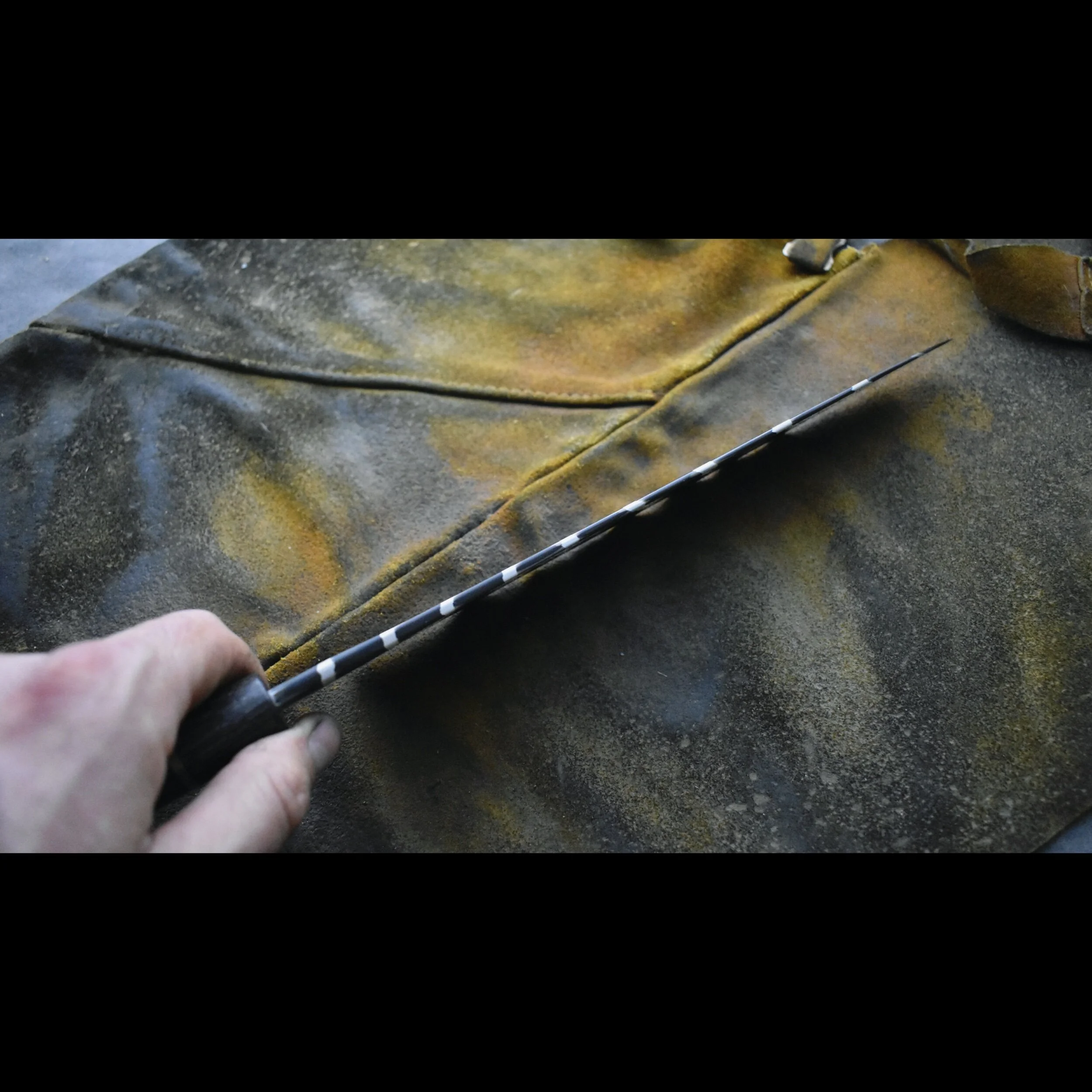 5E7F6F43-76BC-414A-A3BC-087130010666