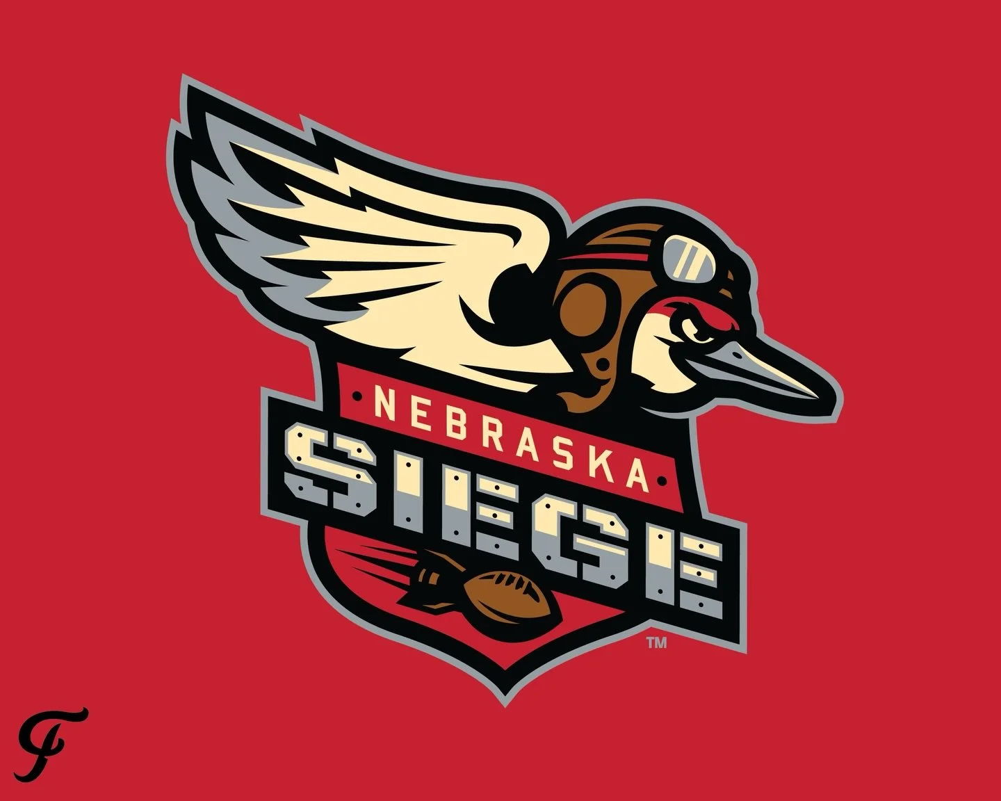 Grand Island, Nebraska was home to a number of WWII Bomber groups, while each spring welcoming a million Sandhill Cranes. It&rsquo;s a bird&hellip;It&rsquo;s a plane&hellip;it&rsquo;s a bomber crane.

Siege: A grouping of Cranes. 

Siege: An attack o