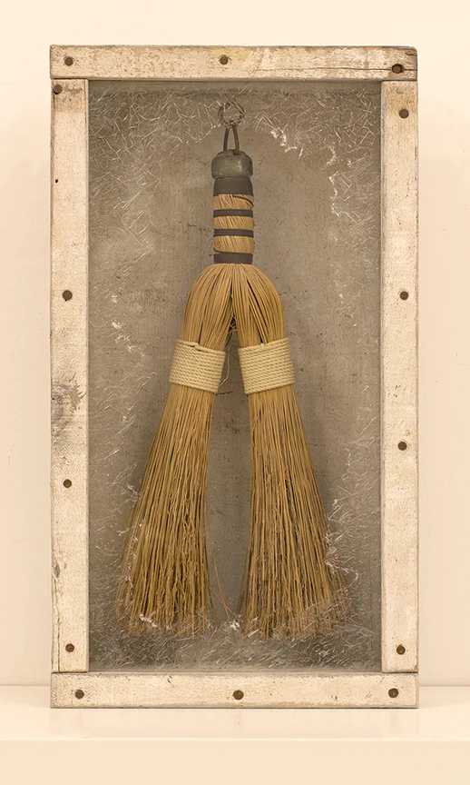Wishbroom