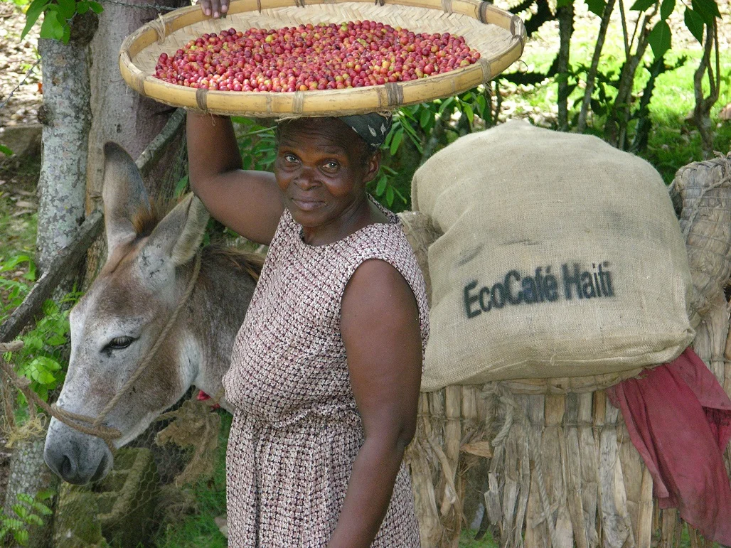 Nanotte_EcoCafeHaiti.jpg