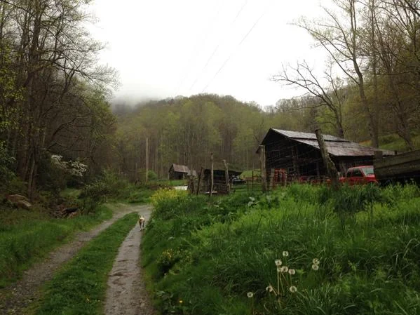 Joseph Lee was born in Big Sandy Mush, NC, and grew up on this mountain farm in Little Sandy Mush, NC (Madison County)