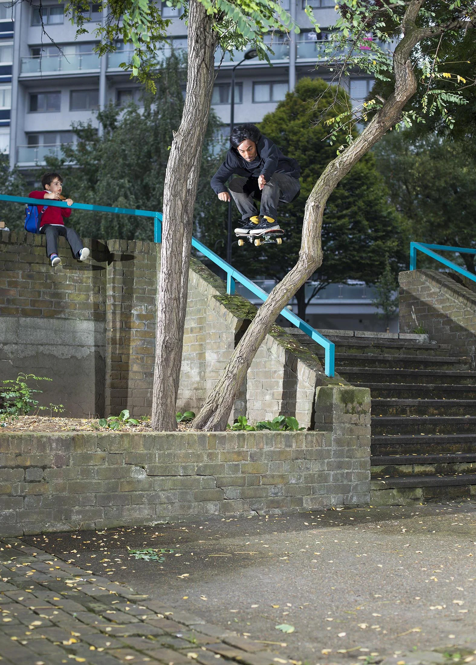 Daryl Dominguez - tree ollie