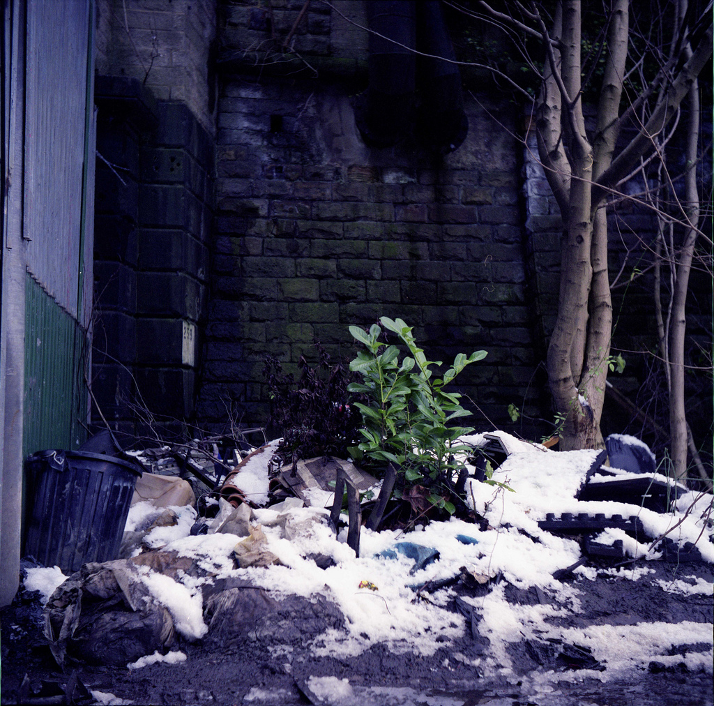  Shot on a Yashicaflex-C. Leeds, 2008. 