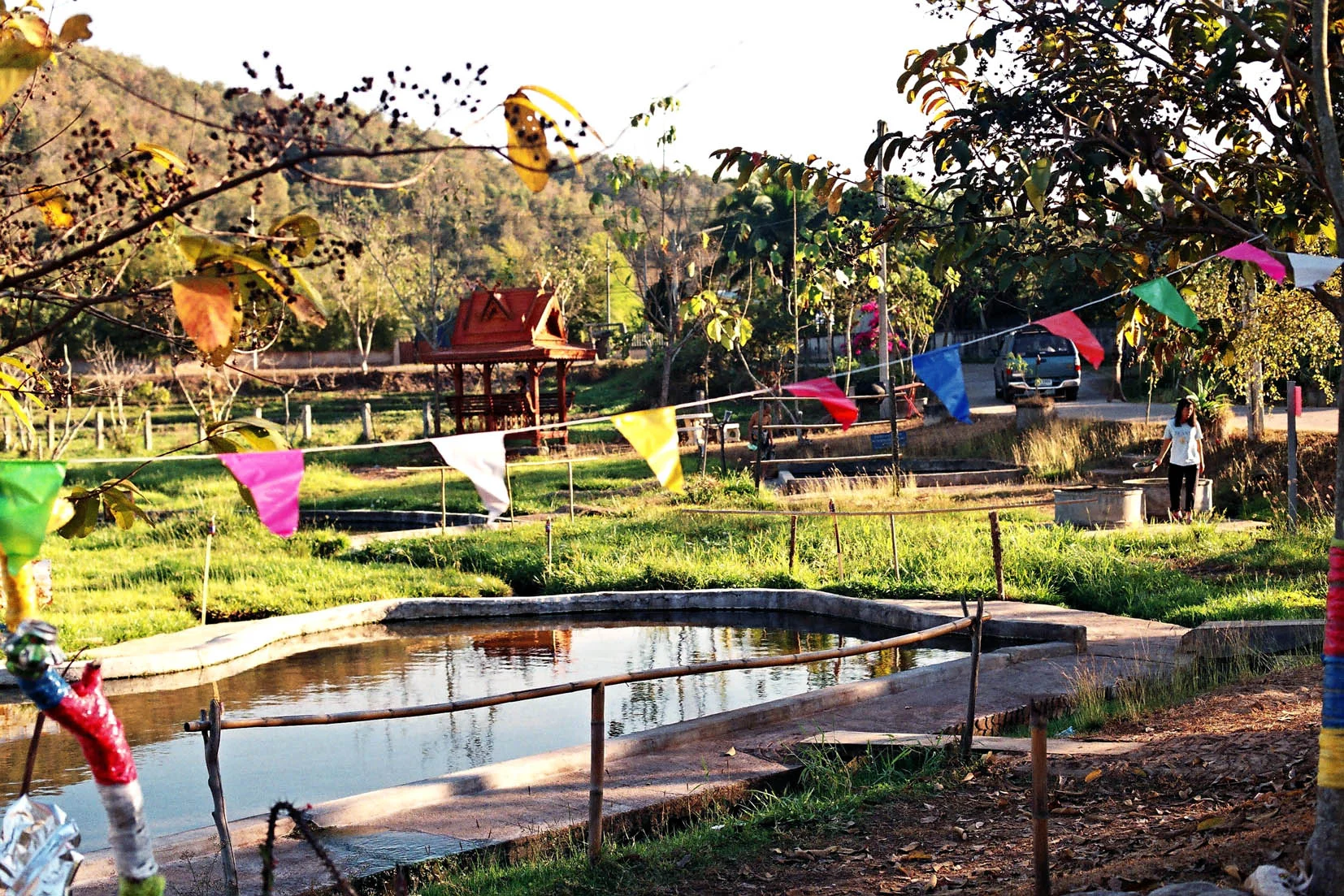 Pig and Art Festival