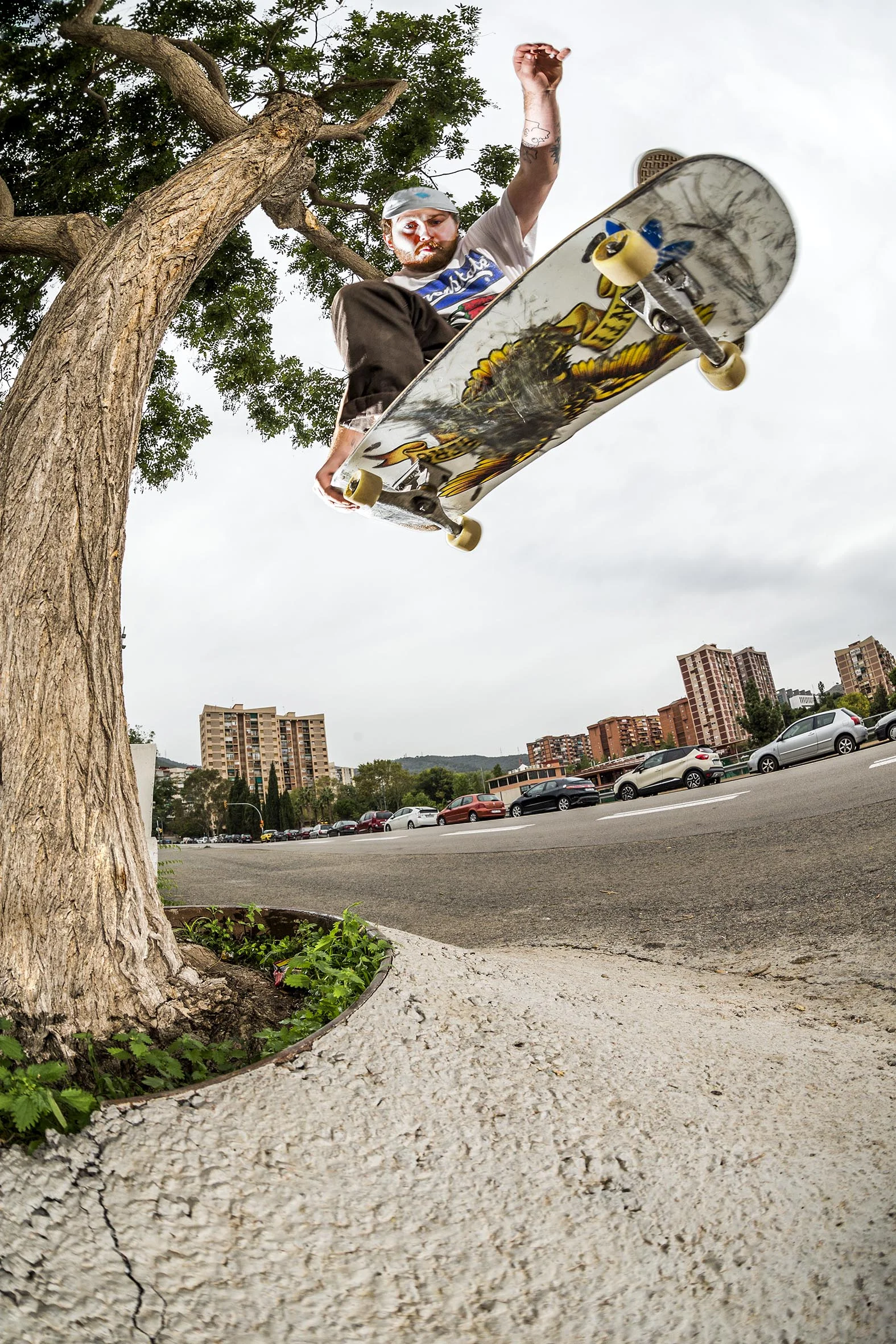 Jordan Kaye - tailgrab