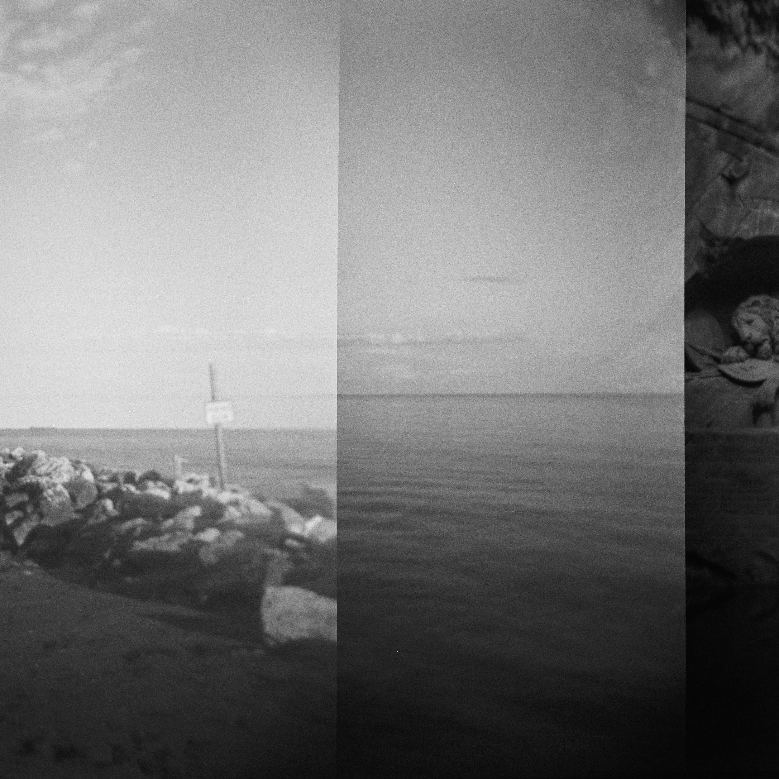 Diana Eliazov-18.jpg