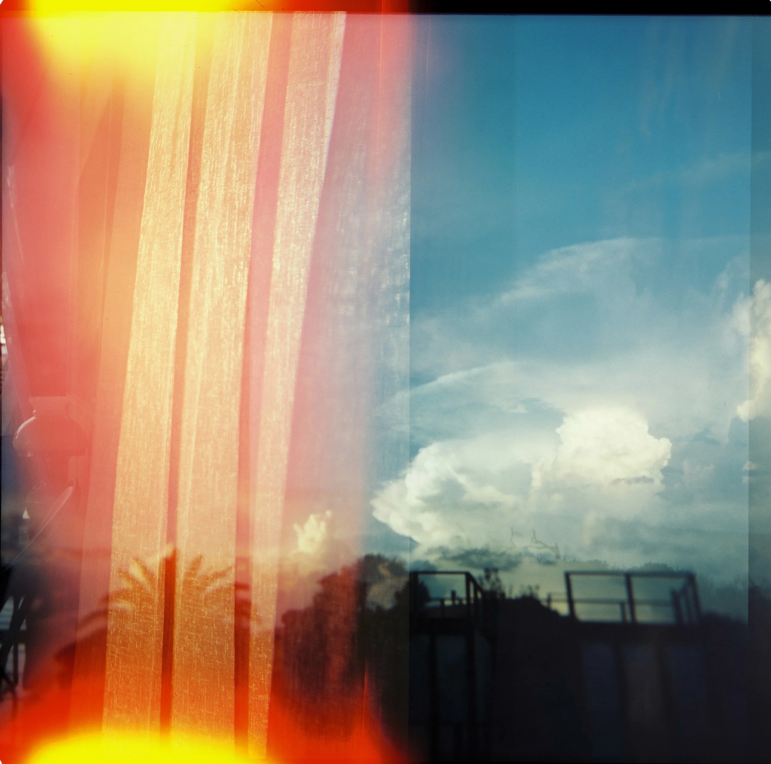 Diana Eliazov-56crop.jpg