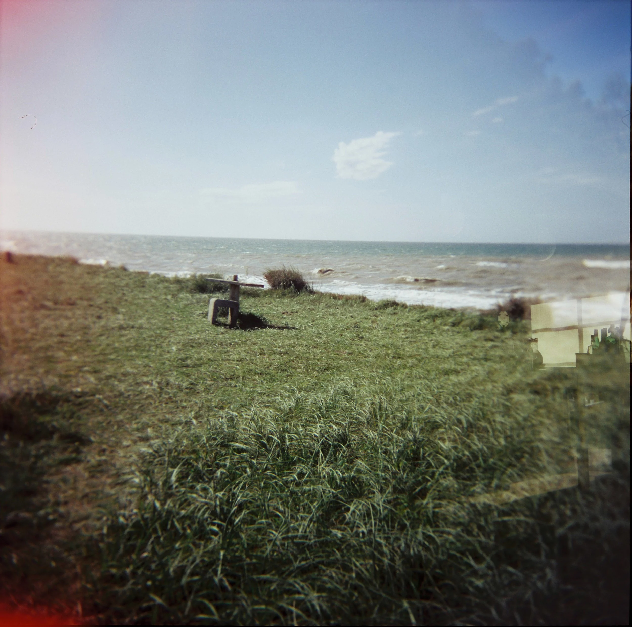 Diana Eliazov-58 crop.jpg