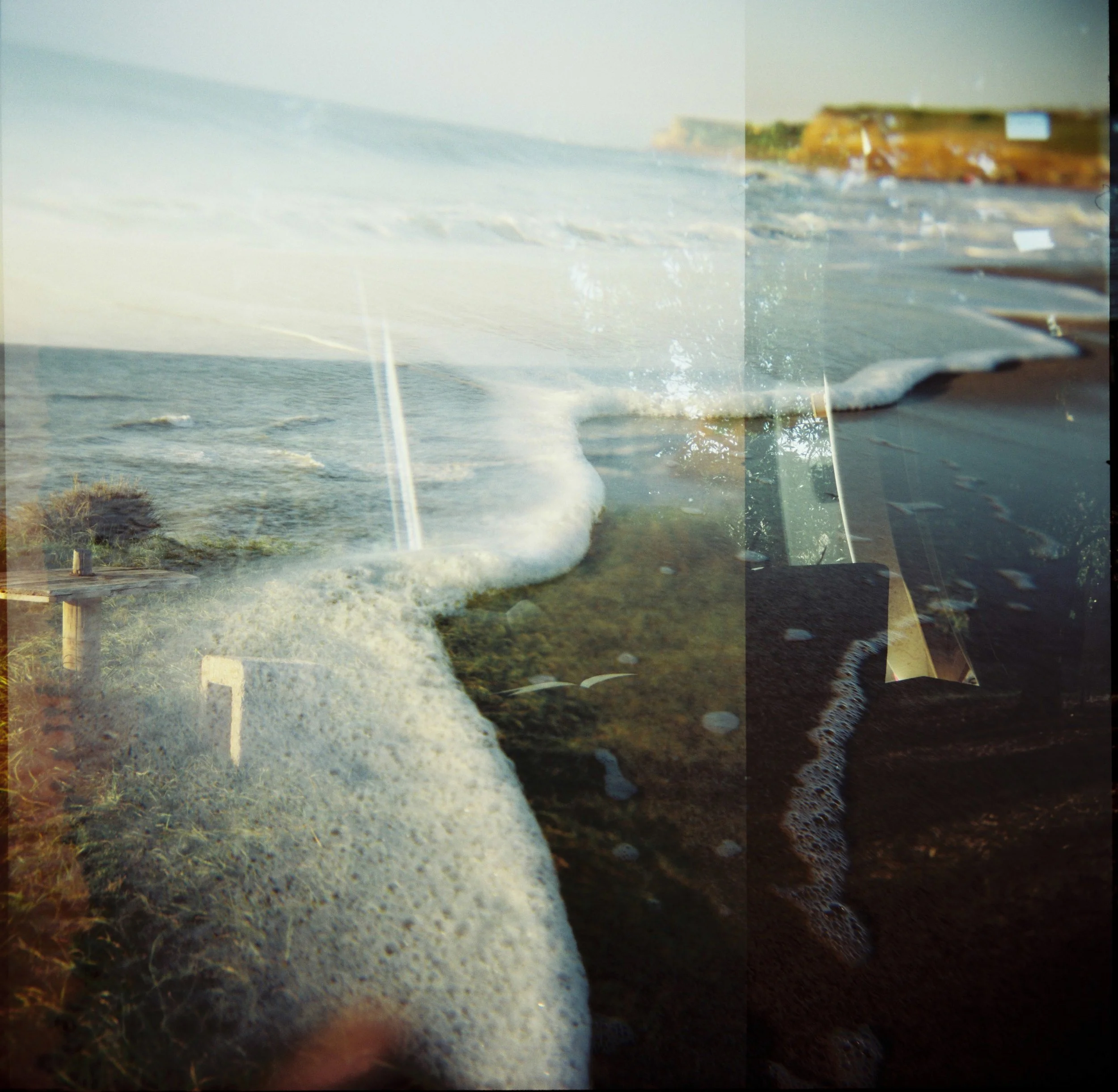 Diana Eliazov-62 crop.jpg