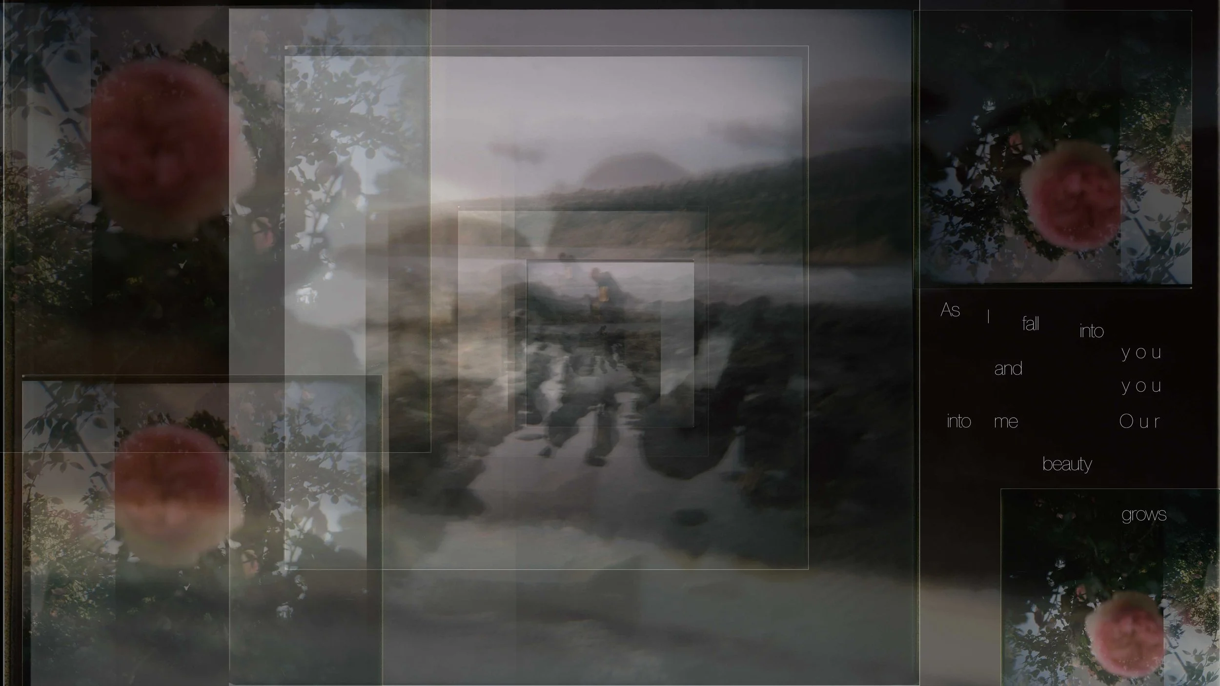 Beauty Grows flat copy.jpg