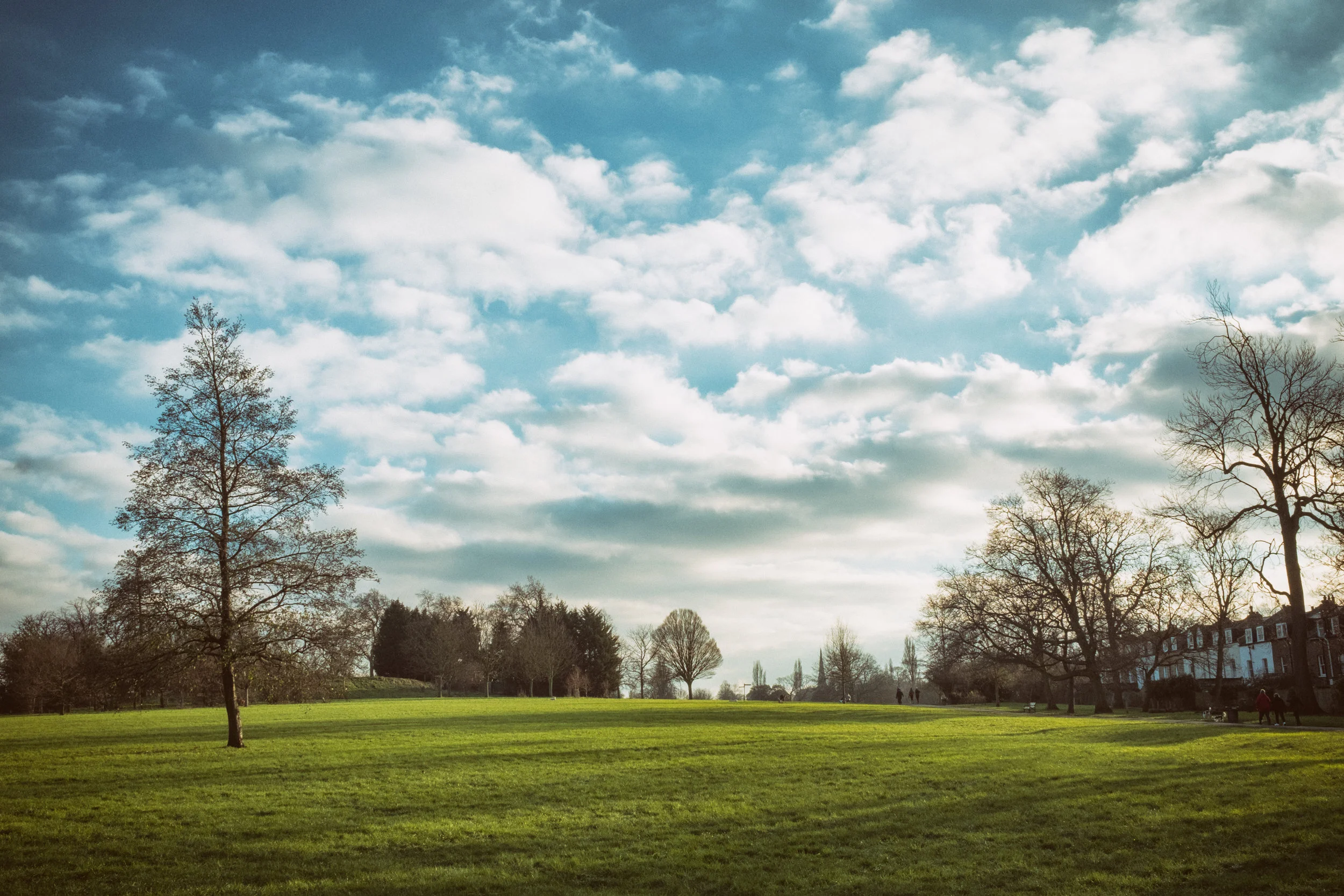 Snaps_0053-Edit.jpg
