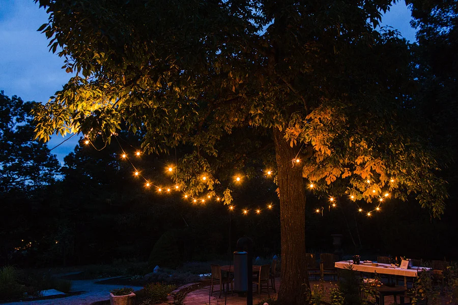 Herb Lyceum Wedding