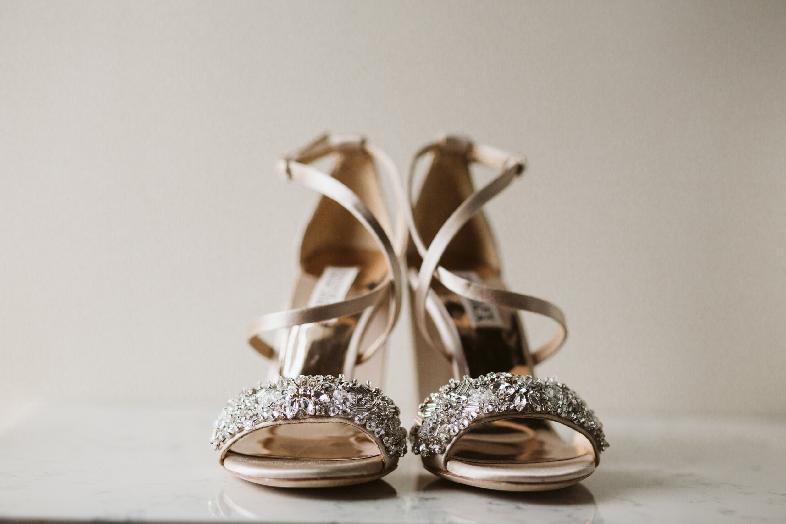 Boston Wedding Photographer