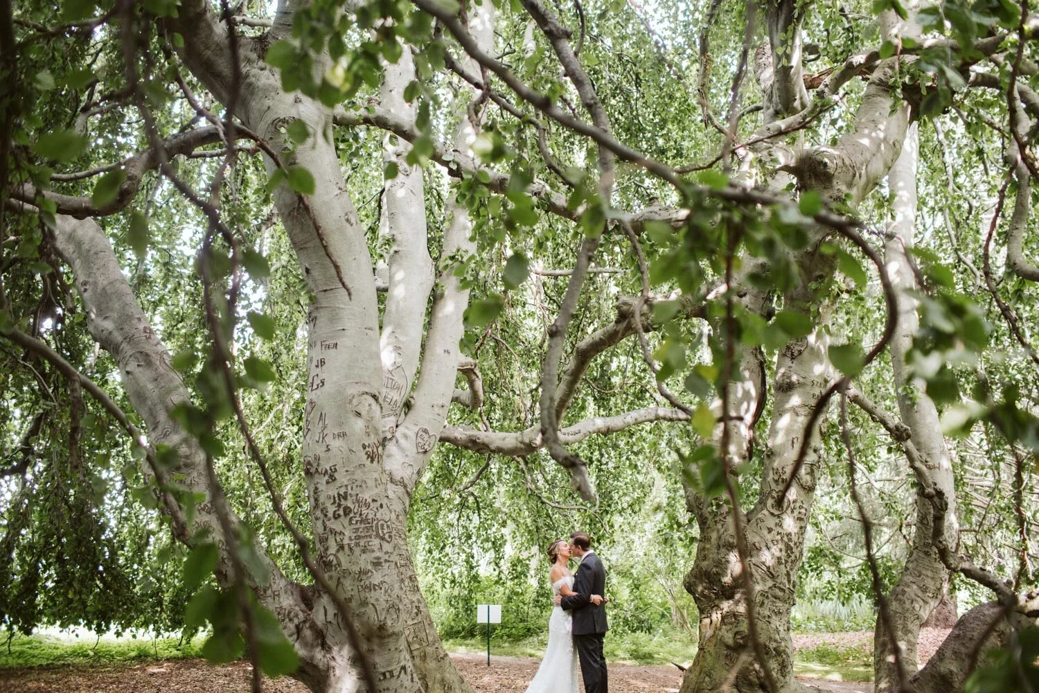 glen-magna--farms-wedding--20.jpg