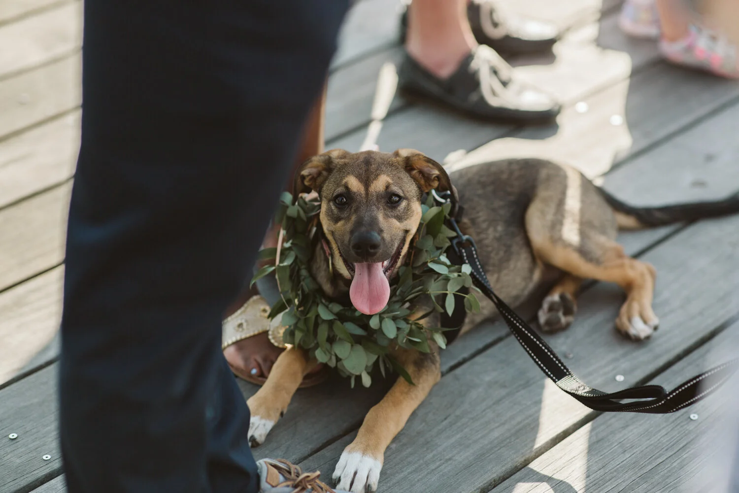 Boston Wedding Covid 3 Boston Wedding Covid