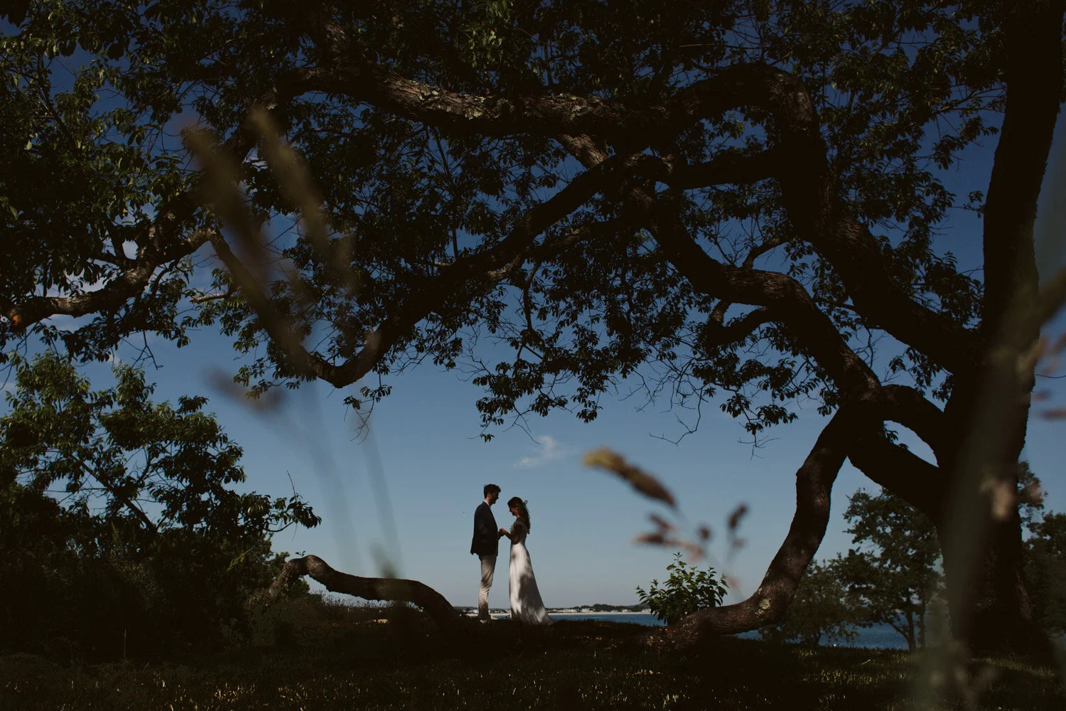 Covid Wedding Boston-7.jpg