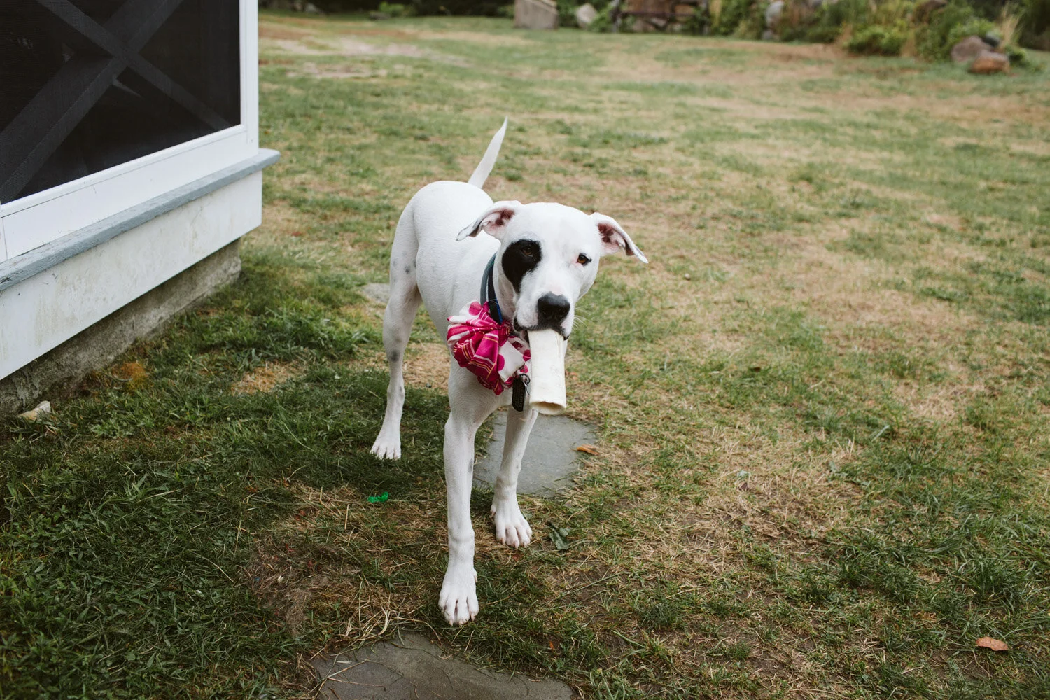 block island wedding photos-10.jpg