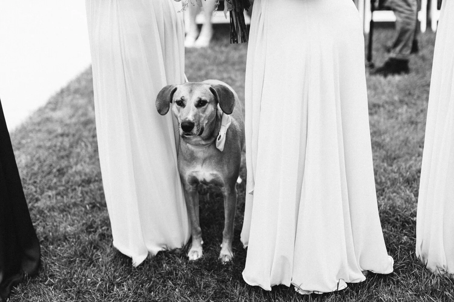 The Villa at Ridder Country Club 16 Wedding-Photos-At-The-Villa--11.jpg