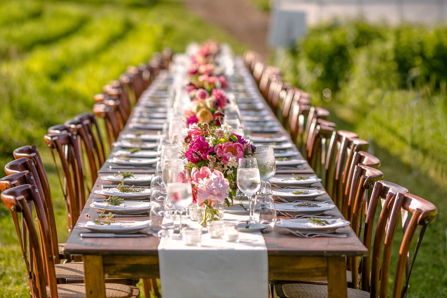 Wright-Locke-Farm Wedding