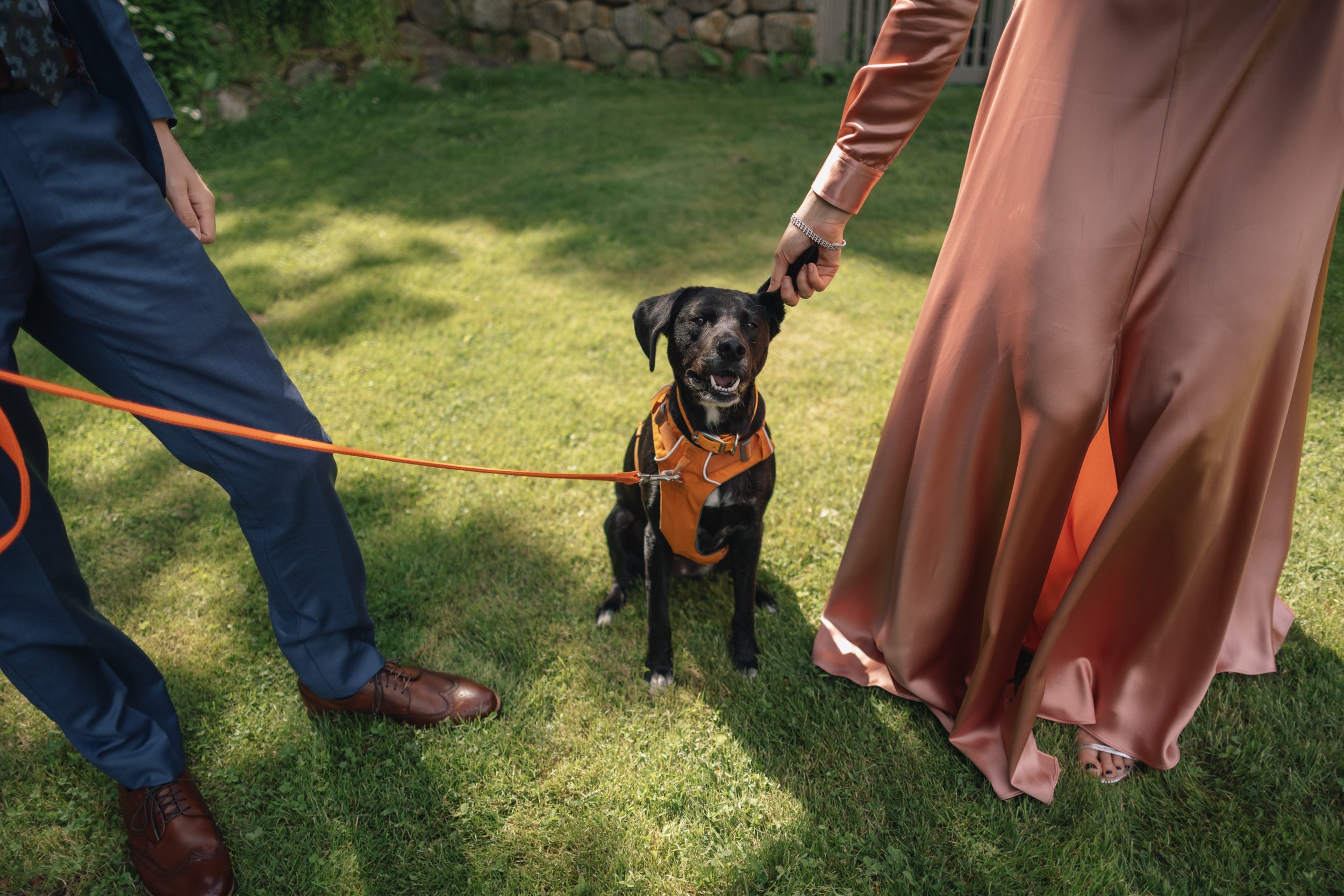 Best Boston wedding photographer captures bride, groom, and dog at Beauport, the Sleeper-McCann House.