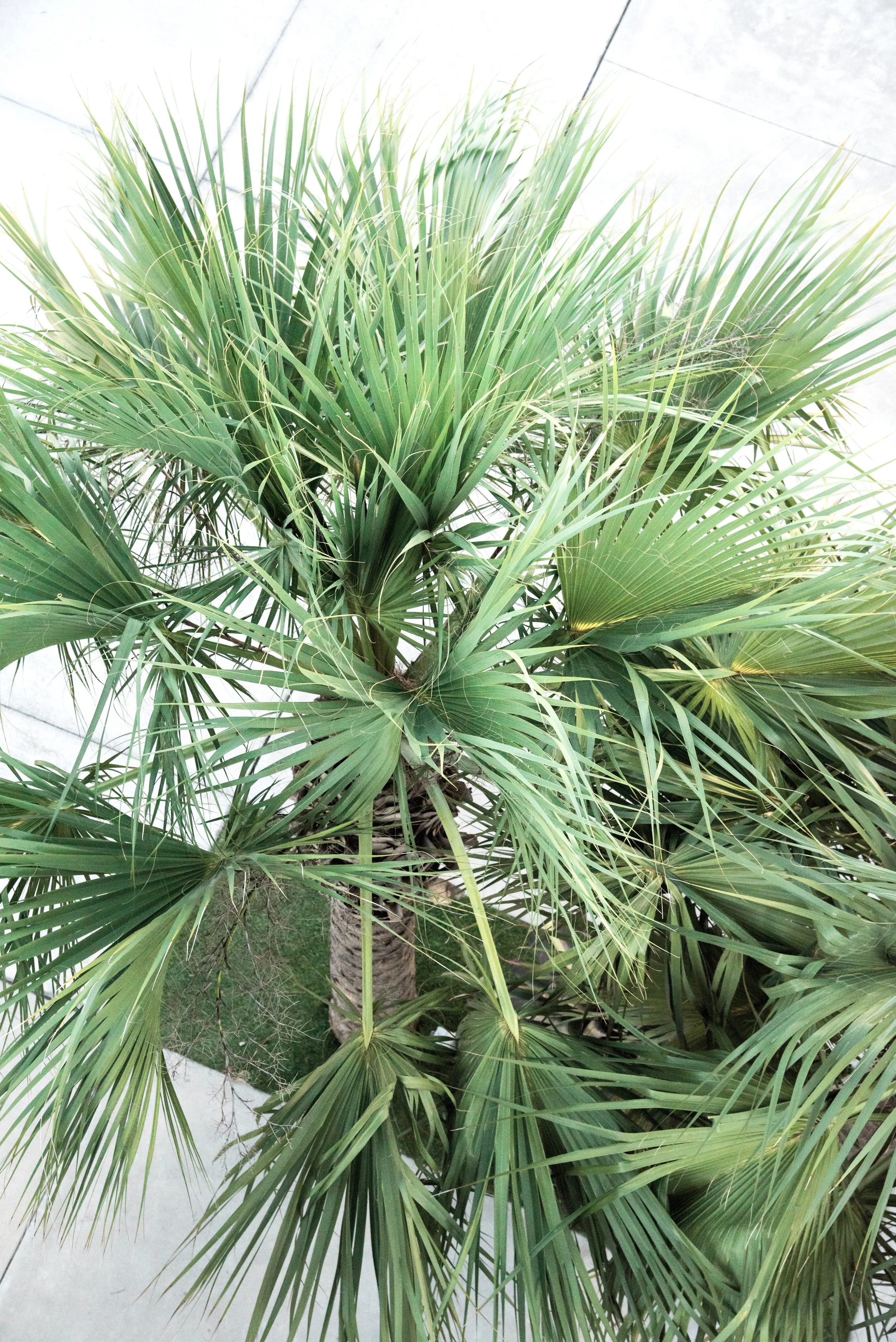 2021HCC026 (edited).jpg